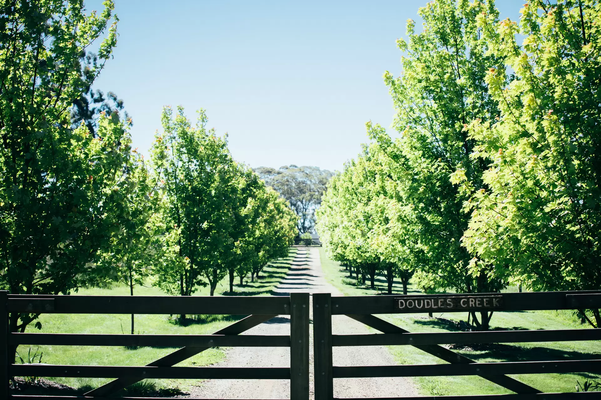 51 Widgee Waa Lane, Kangaloon Sold by Drew Lindsay Sotheby's International Realty - image 2