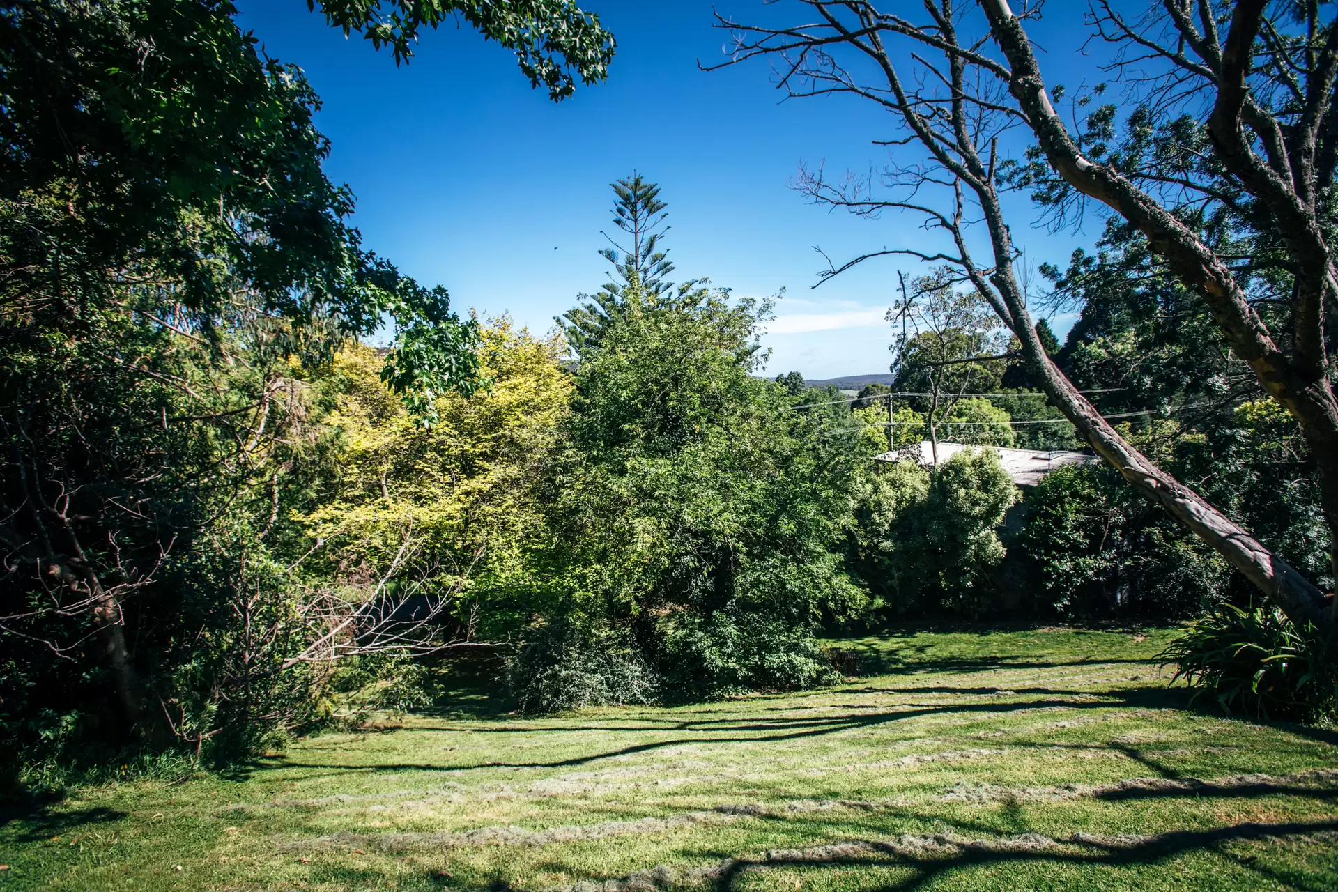 7 Tulloona Avenue, Bowral Sold by Drew Lindsay Sotheby's International Realty - image 7