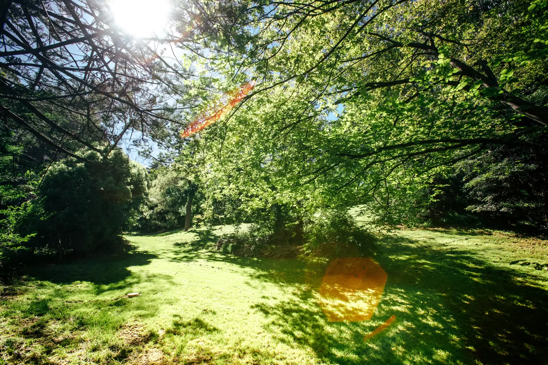 7 Tulloona Avenue, Bowral Sold by Drew Lindsay Sotheby's International Realty - image 5