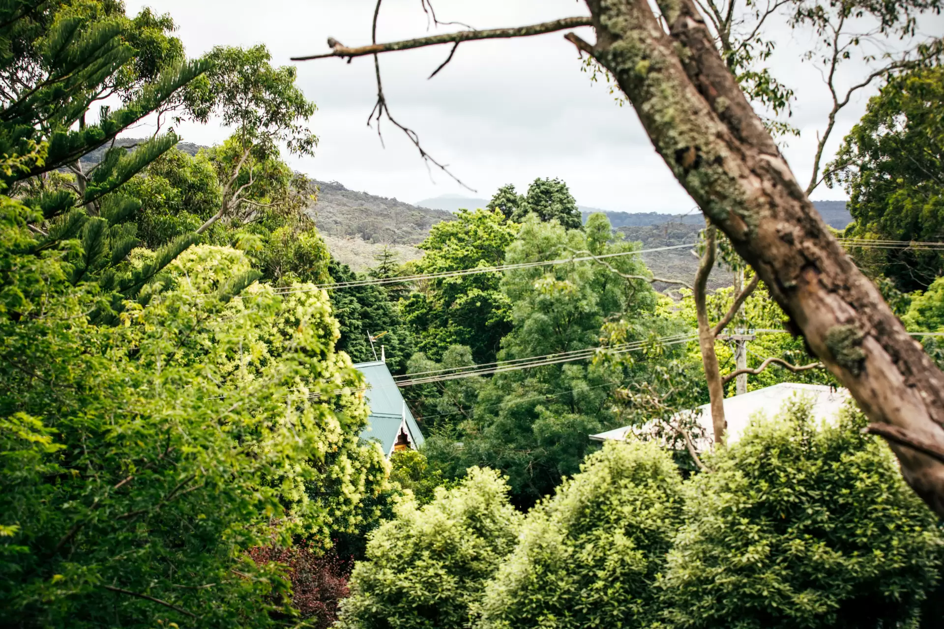 7 Tulloona Avenue, Bowral Sold by Drew Lindsay Sotheby's International Realty - image 1