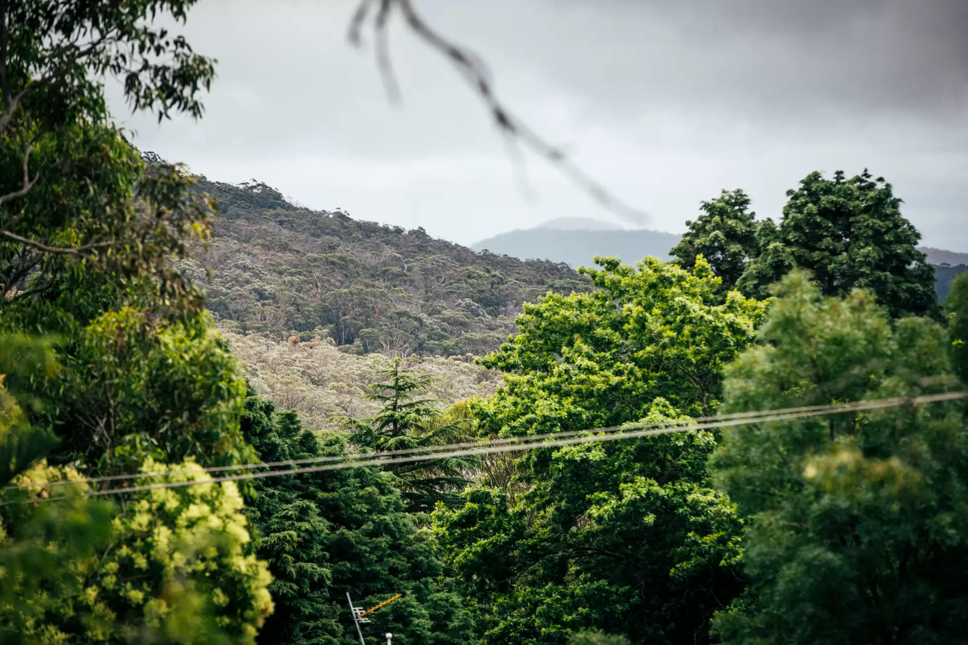 7 Tulloona Avenue, Bowral Sold by Drew Lindsay Sotheby's International Realty - image 2
