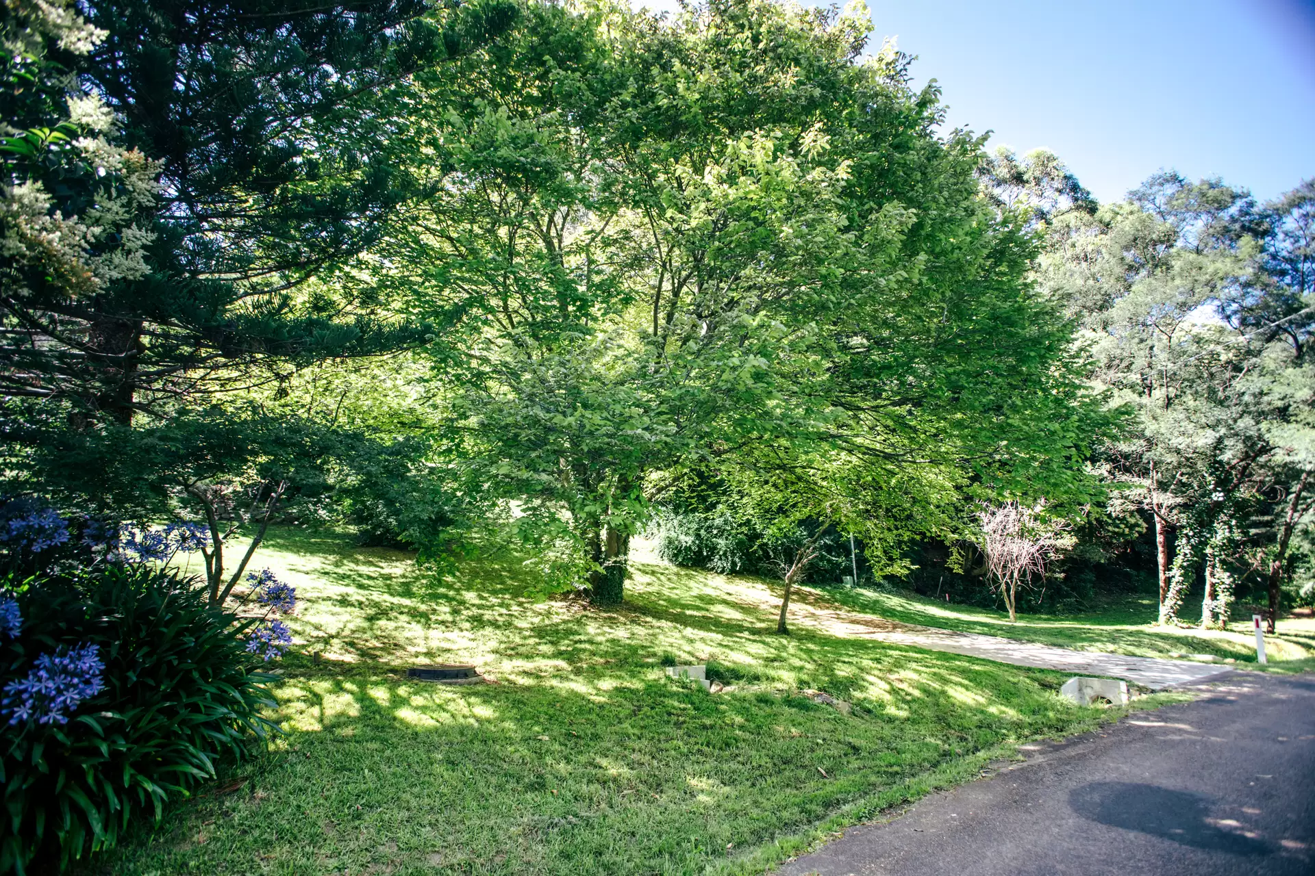 7 Tulloona Avenue, Bowral Sold by Drew Lindsay Sotheby's International Realty - image 9