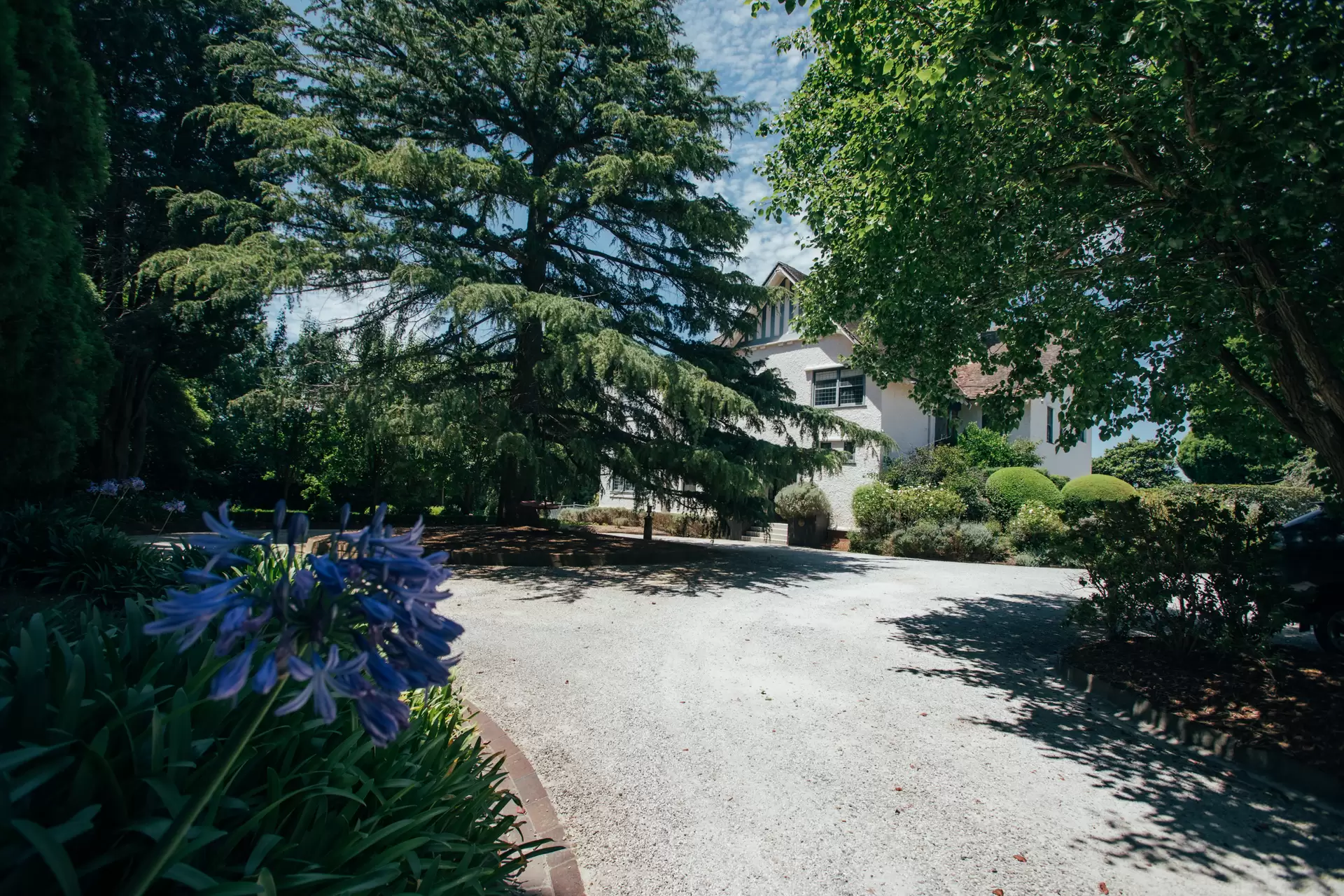 Bowral Sold by Drew Lindsay Sotheby's International Realty - image 16