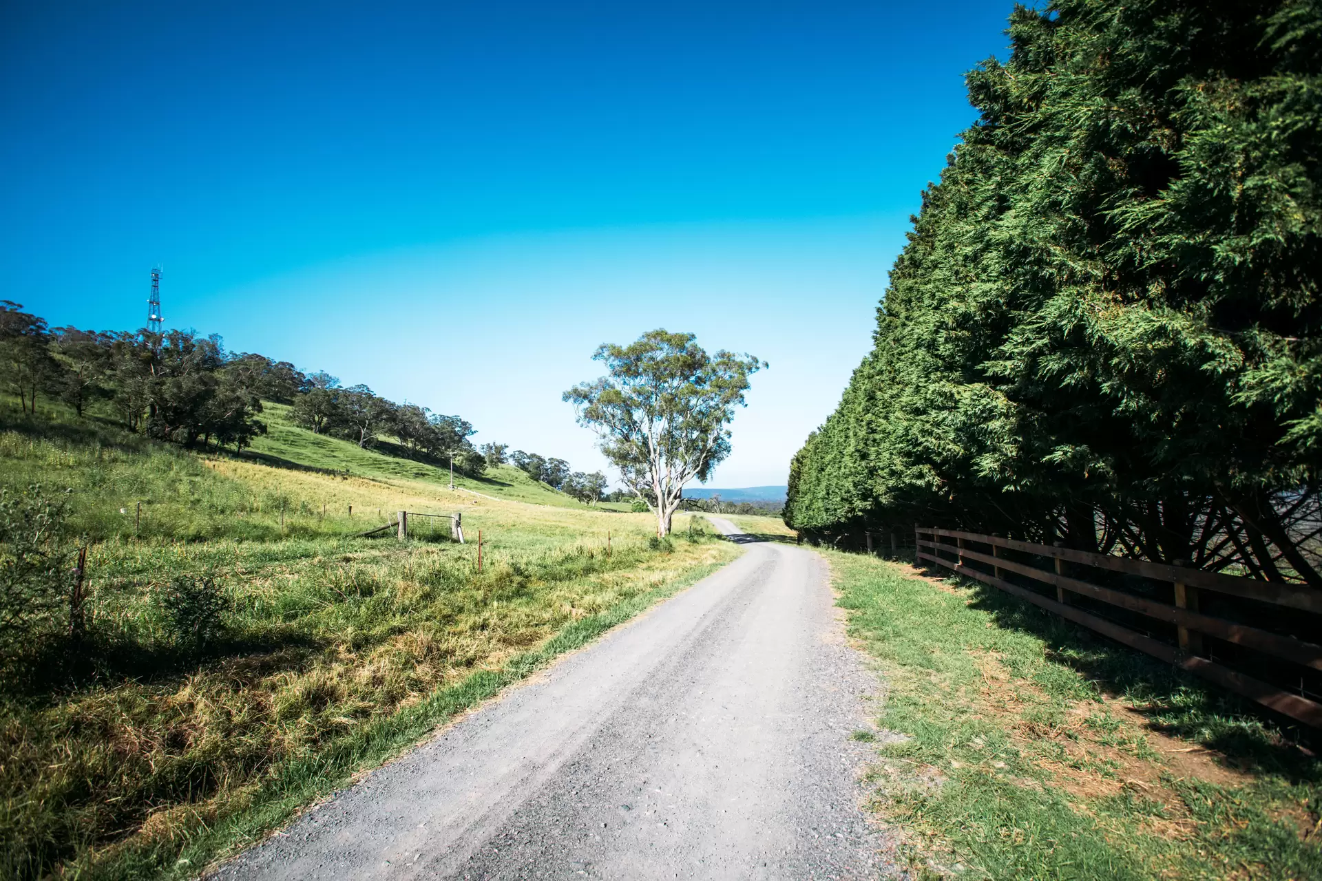401 Blackspring Road, High Range Sold by Drew Lindsay Sotheby's International Realty - image 23