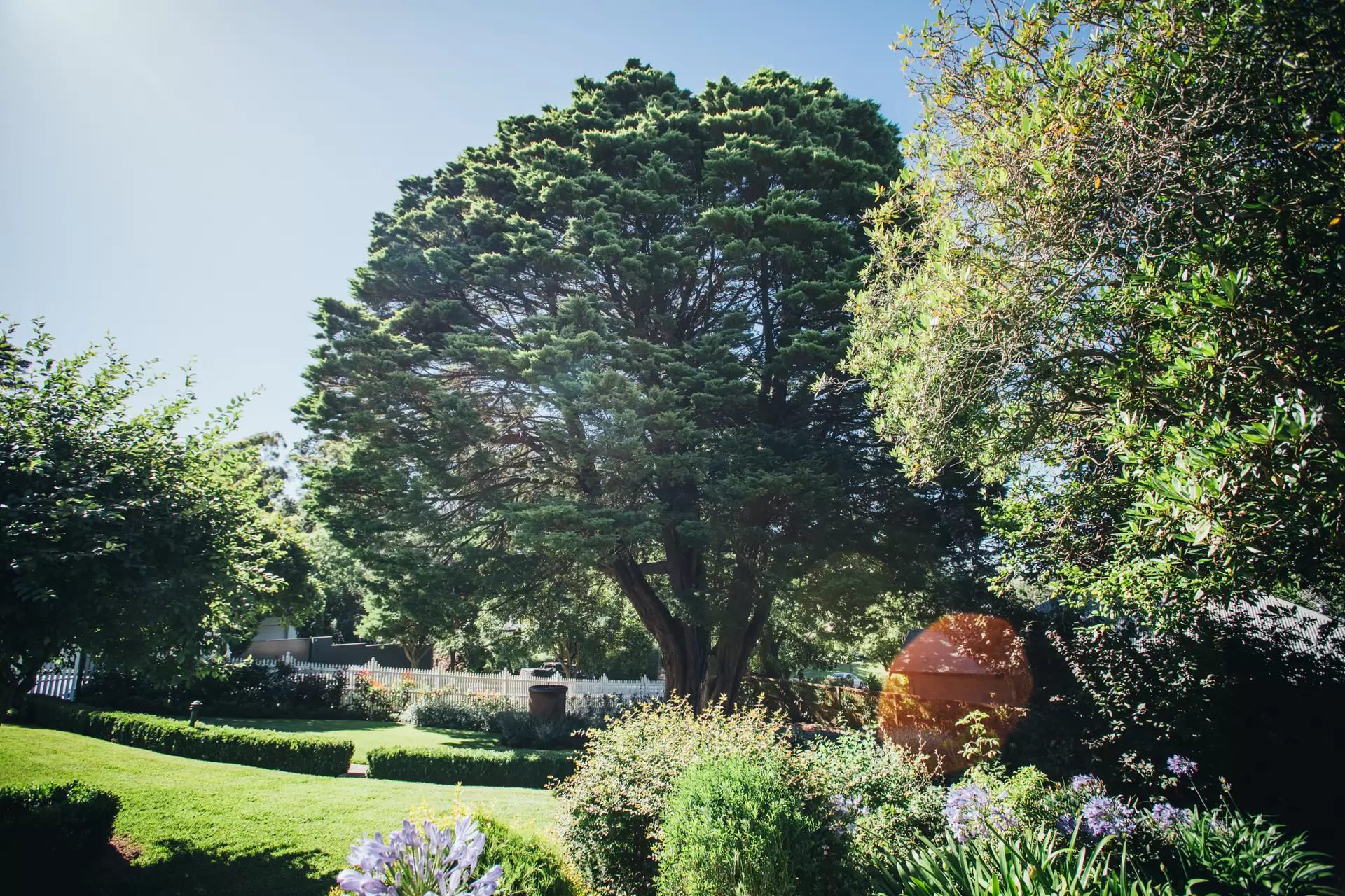 Bowral Sold by Drew Lindsay Sotheby's International Realty - image 11