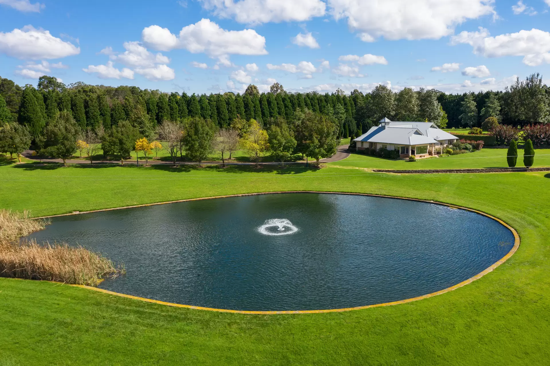223 Greenhills Road, Werai Sold by Drew Lindsay Sotheby's International Realty - image 2