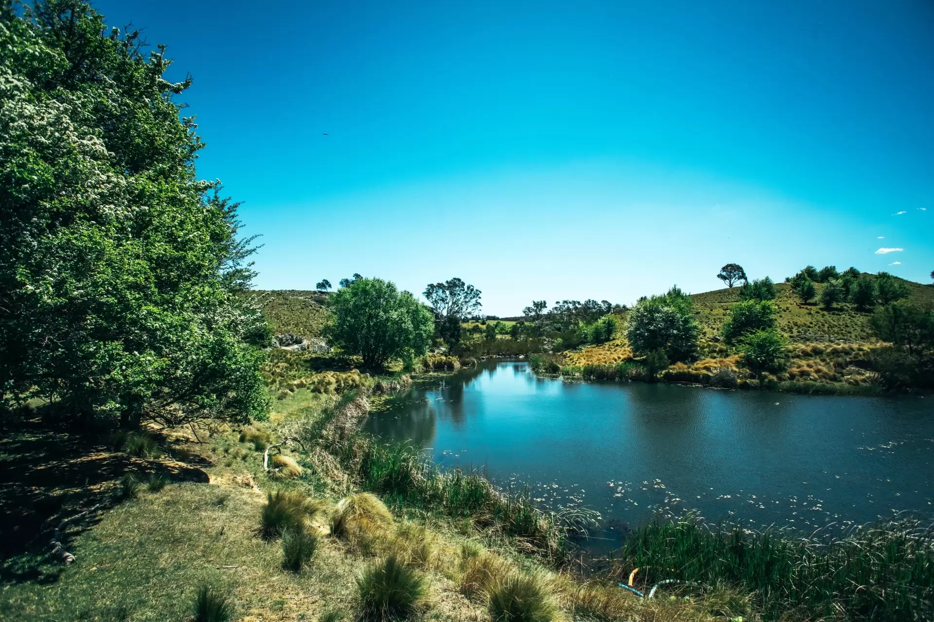 1203 Jerrara Road, Bungonia Sold by Drew Lindsay Sotheby's International Realty - image 2