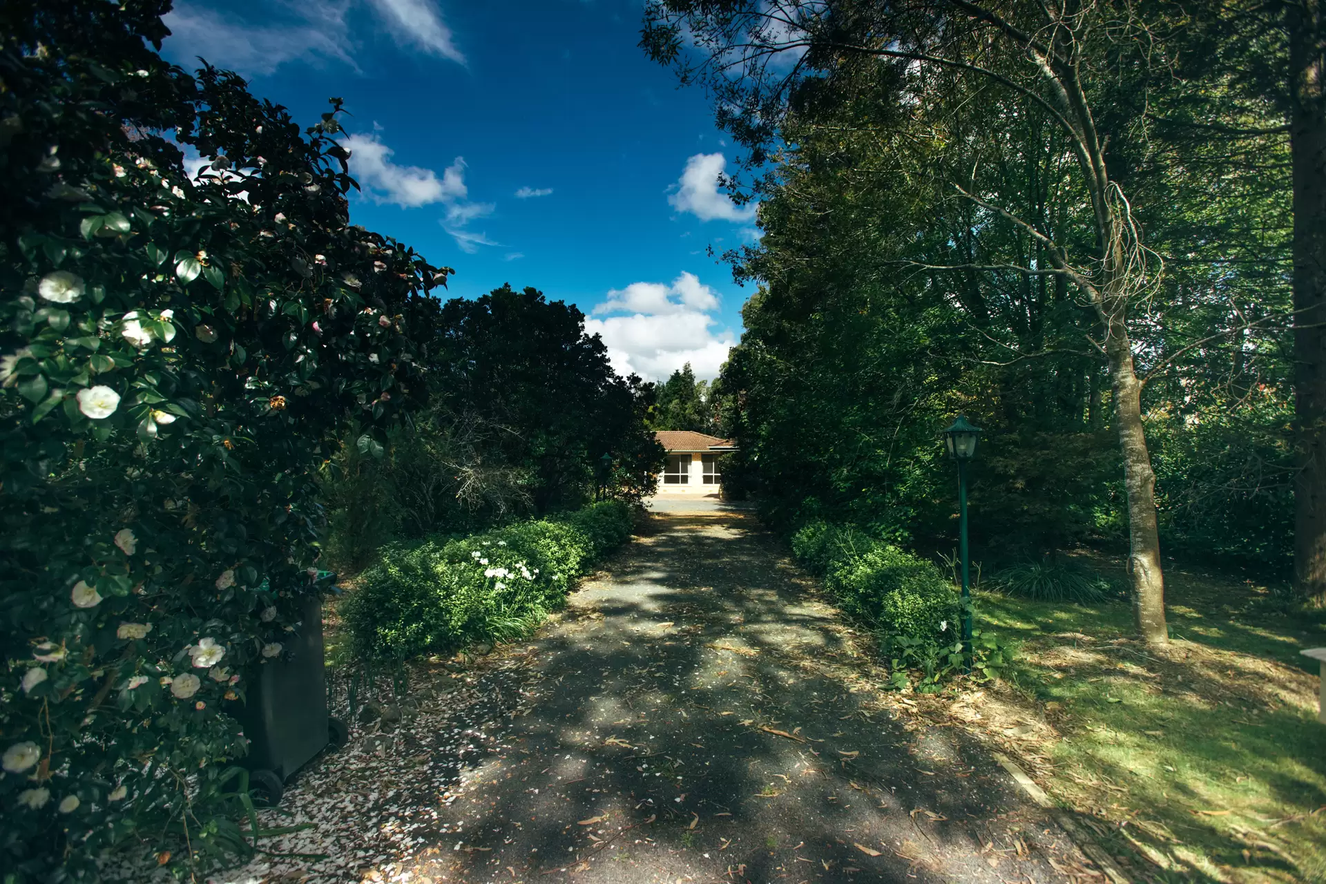 57 Sunninghill Avenue, Burradoo Sold by Drew Lindsay Sotheby's International Realty - image 12