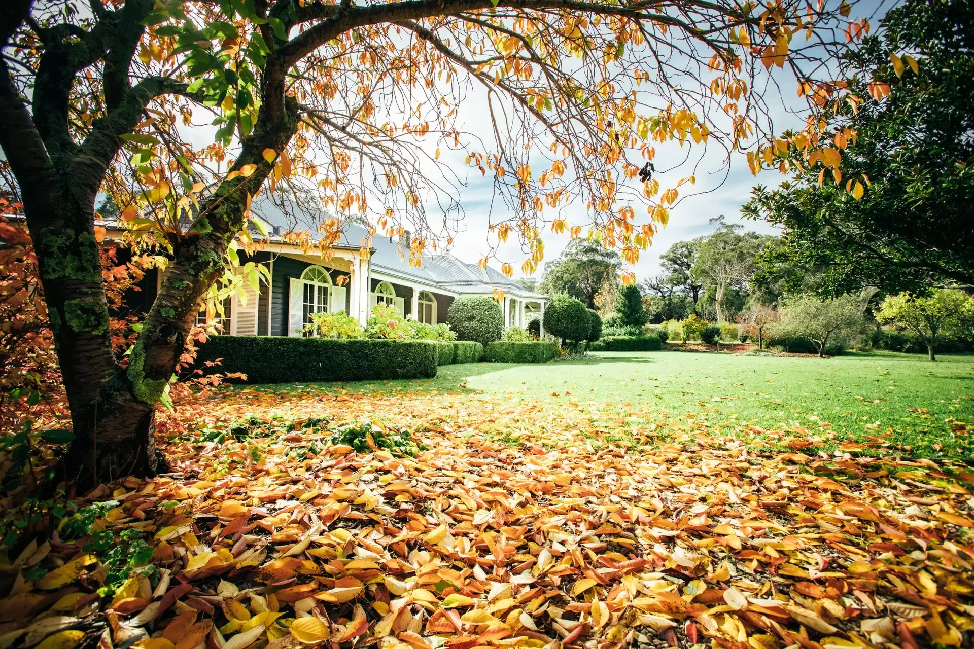 Berrima Sold by Drew Lindsay Sotheby's International Realty - image 19