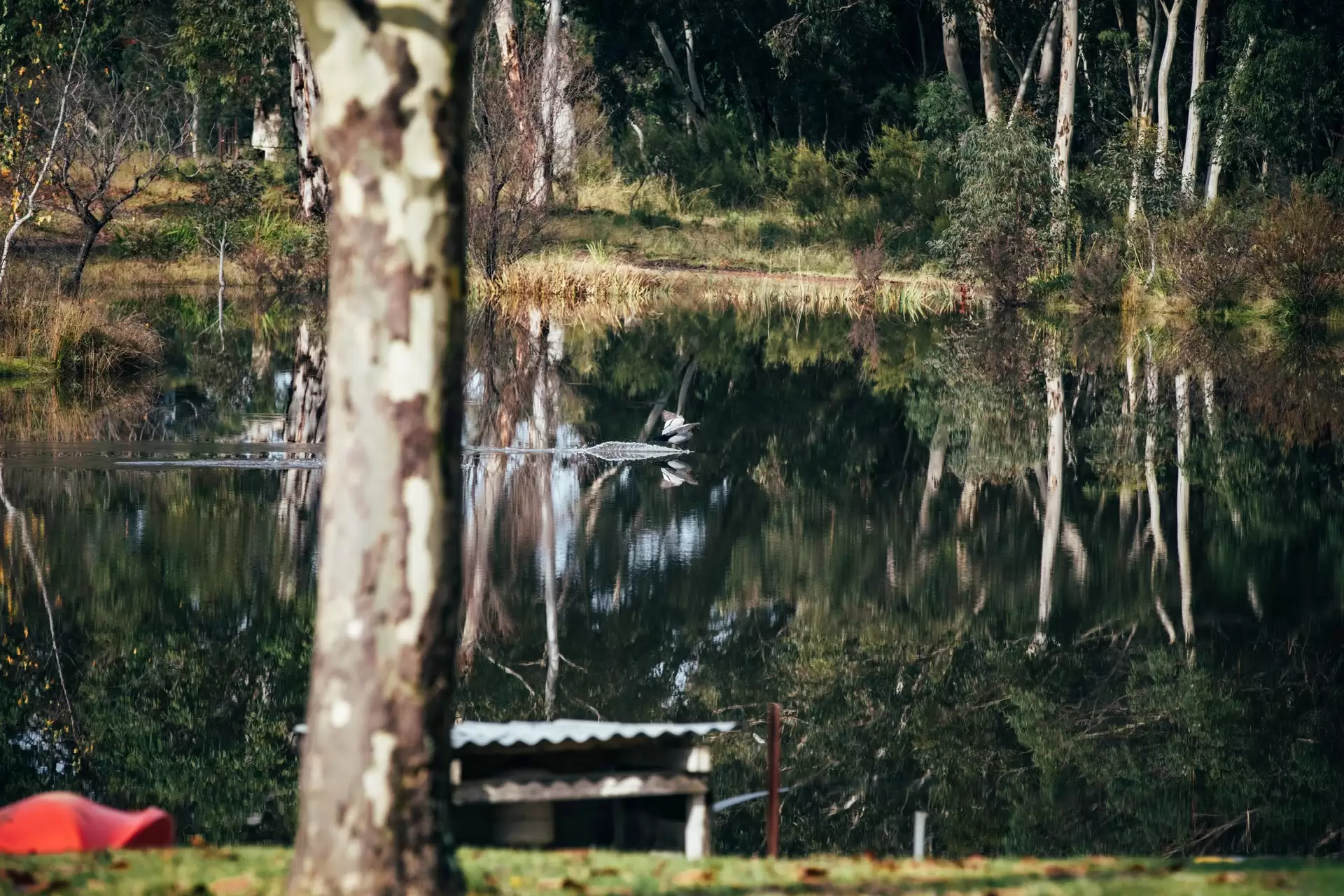 Berrima Sold by Drew Lindsay Sotheby's International Realty - image 20