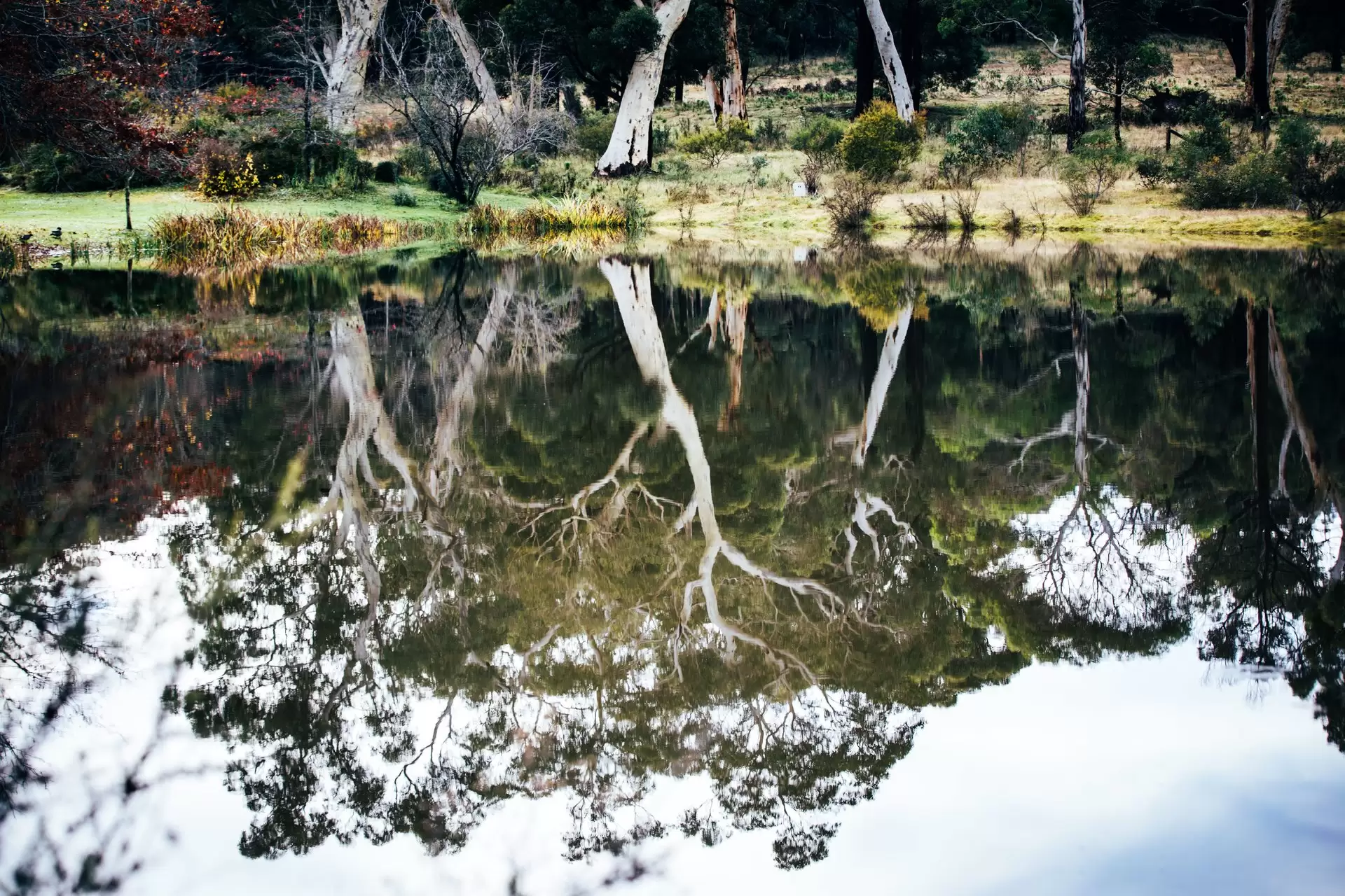 Berrima Sold by Drew Lindsay Sotheby's International Realty - image 12