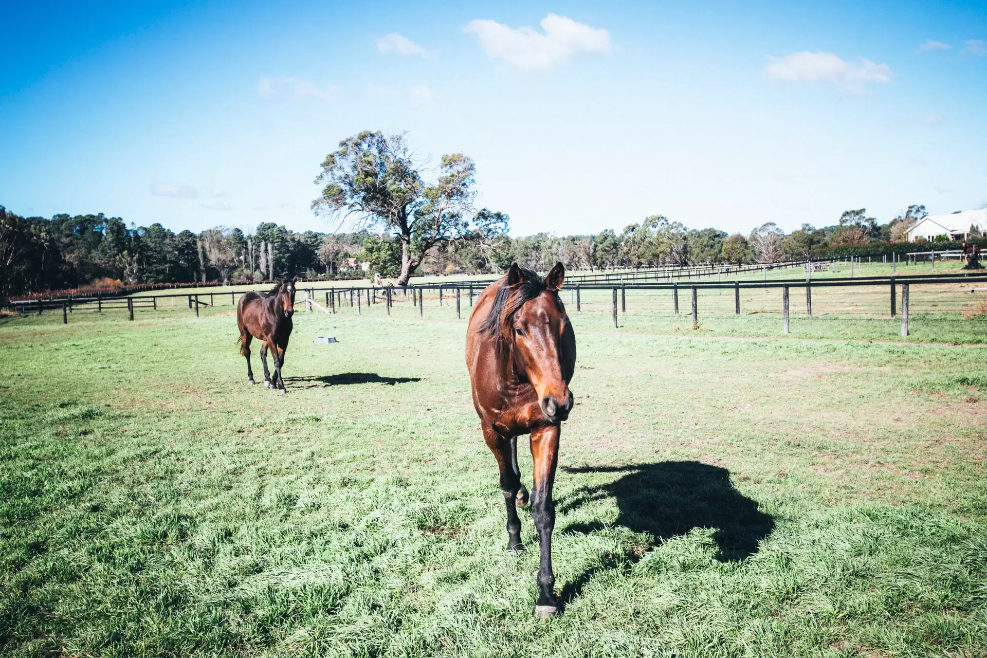 47 Railway Road, Burradoo Sold by Drew Lindsay Sotheby's International Realty - image 12