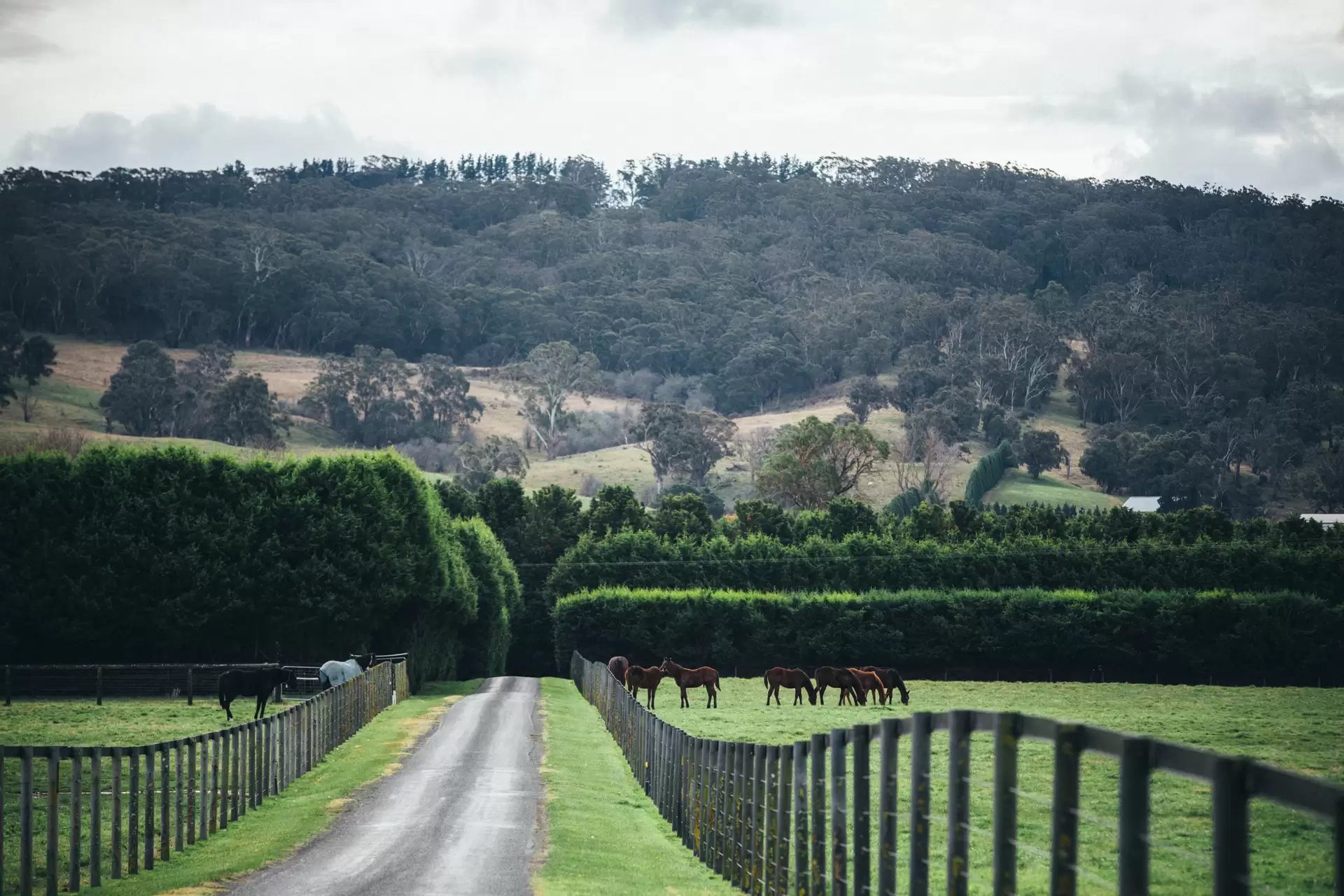 47 Railway Road, Burradoo Sold by Drew Lindsay Sotheby's International Realty - image 7