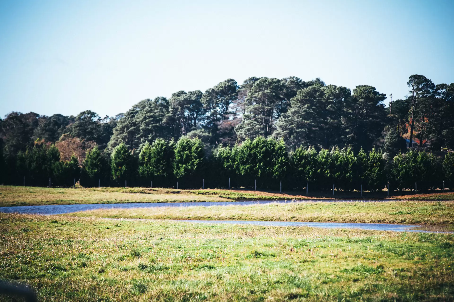 47 Railway Road, Burradoo Sold by Drew Lindsay Sotheby's International Realty - image 9