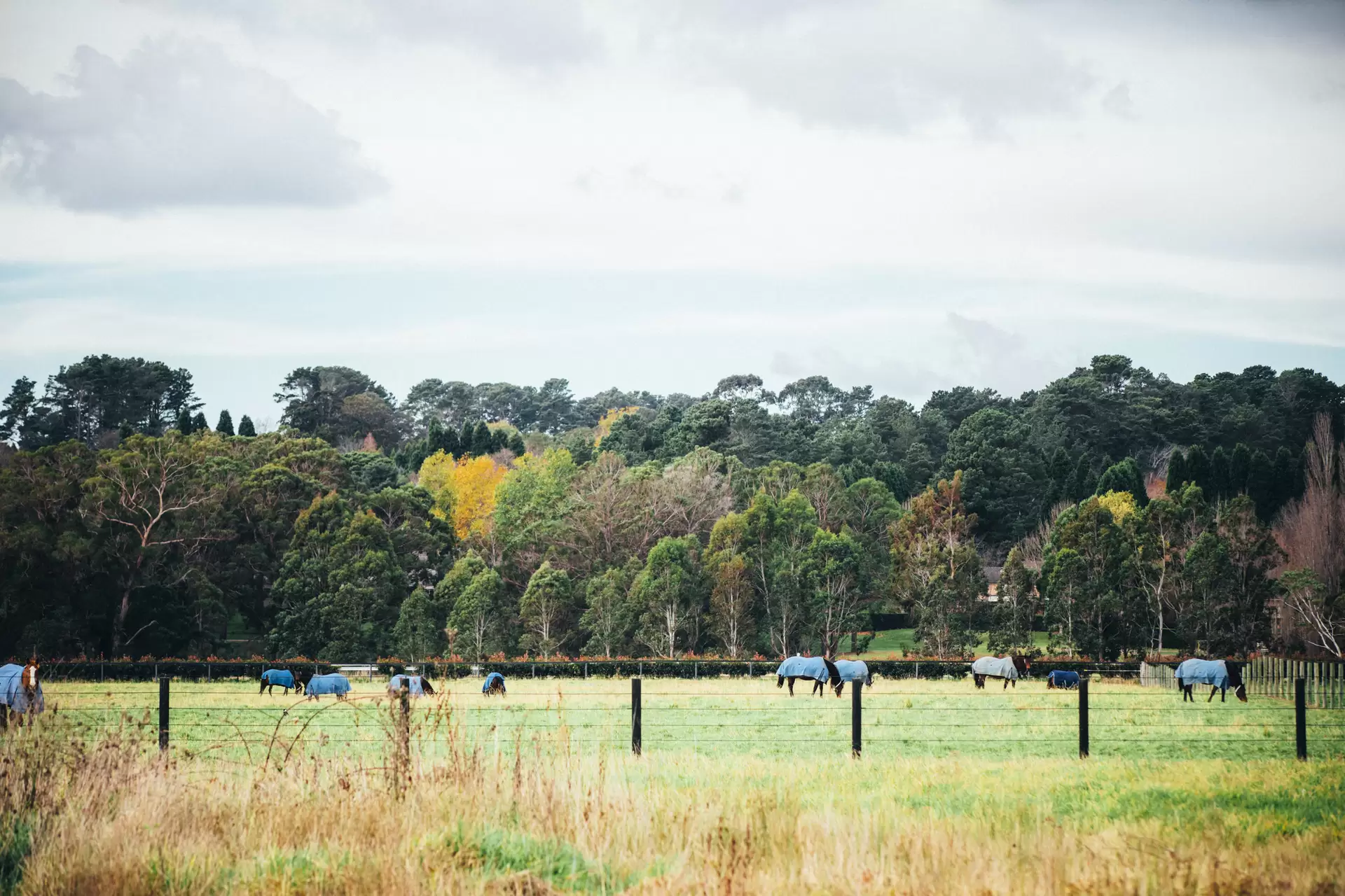 47 Railway Road, Burradoo Sold by Drew Lindsay Sotheby's International Realty - image 1