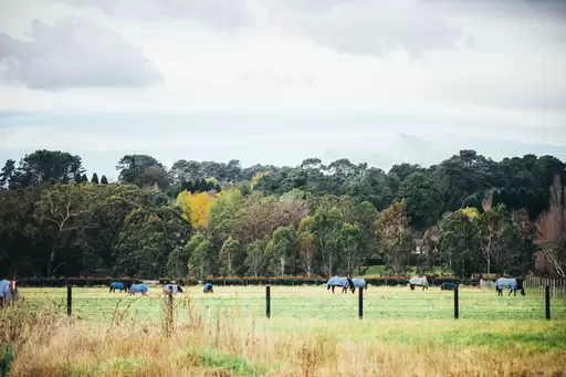 47 Railway Road, Burradoo Sold by Drew Lindsay Sotheby's International Realty