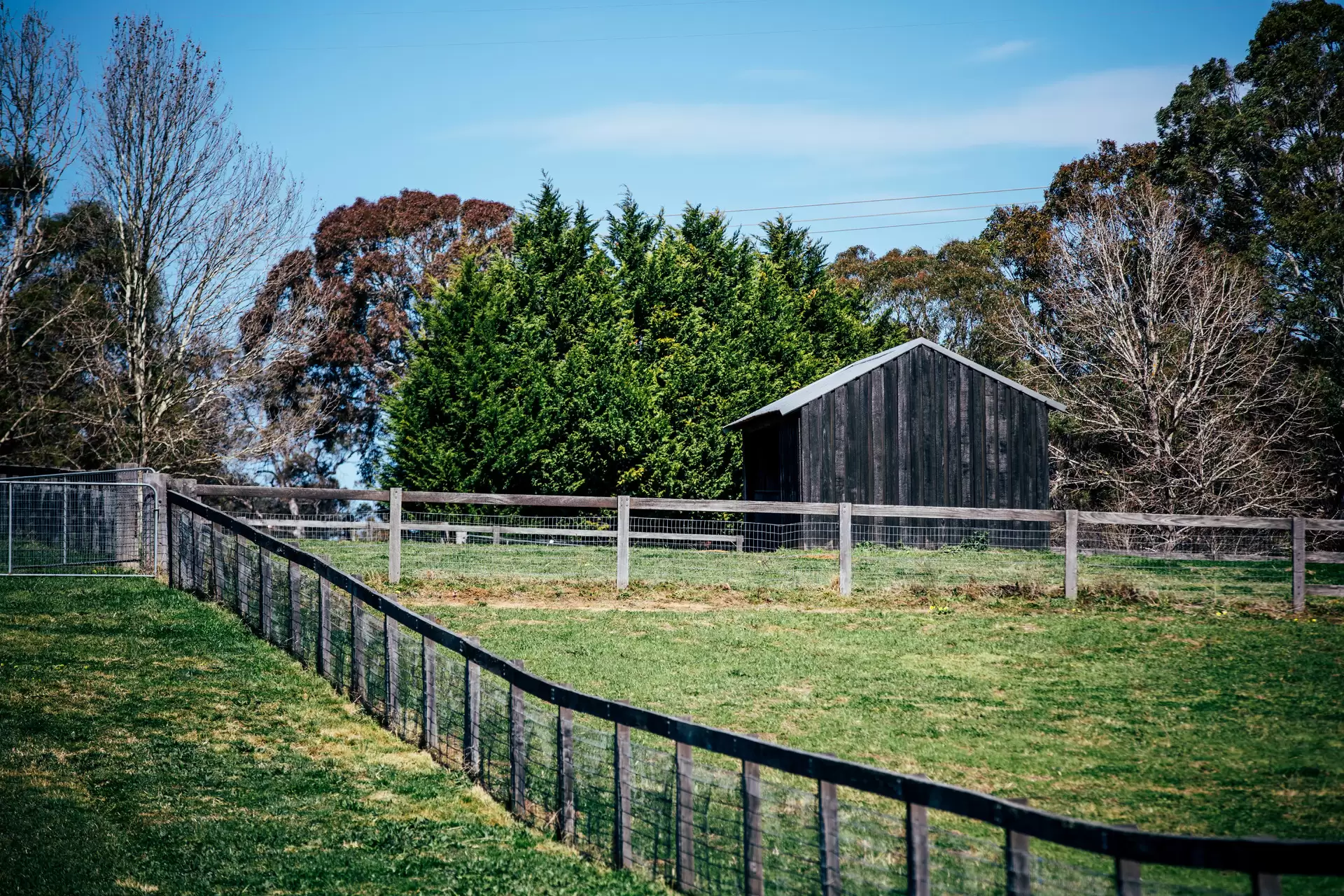648 Joadja Road, Joadja Sold by Drew Lindsay Sotheby's International Realty - image 27