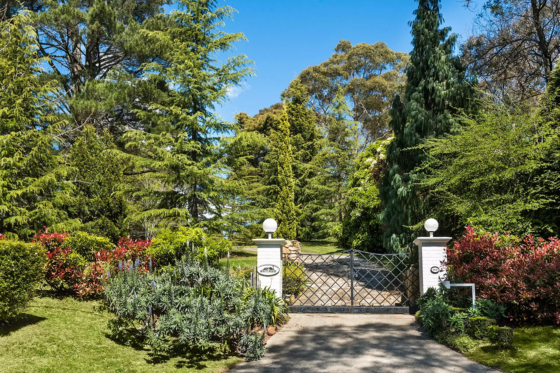 Mittagong Sold by Drew Lindsay Sotheby's International Realty - image 23