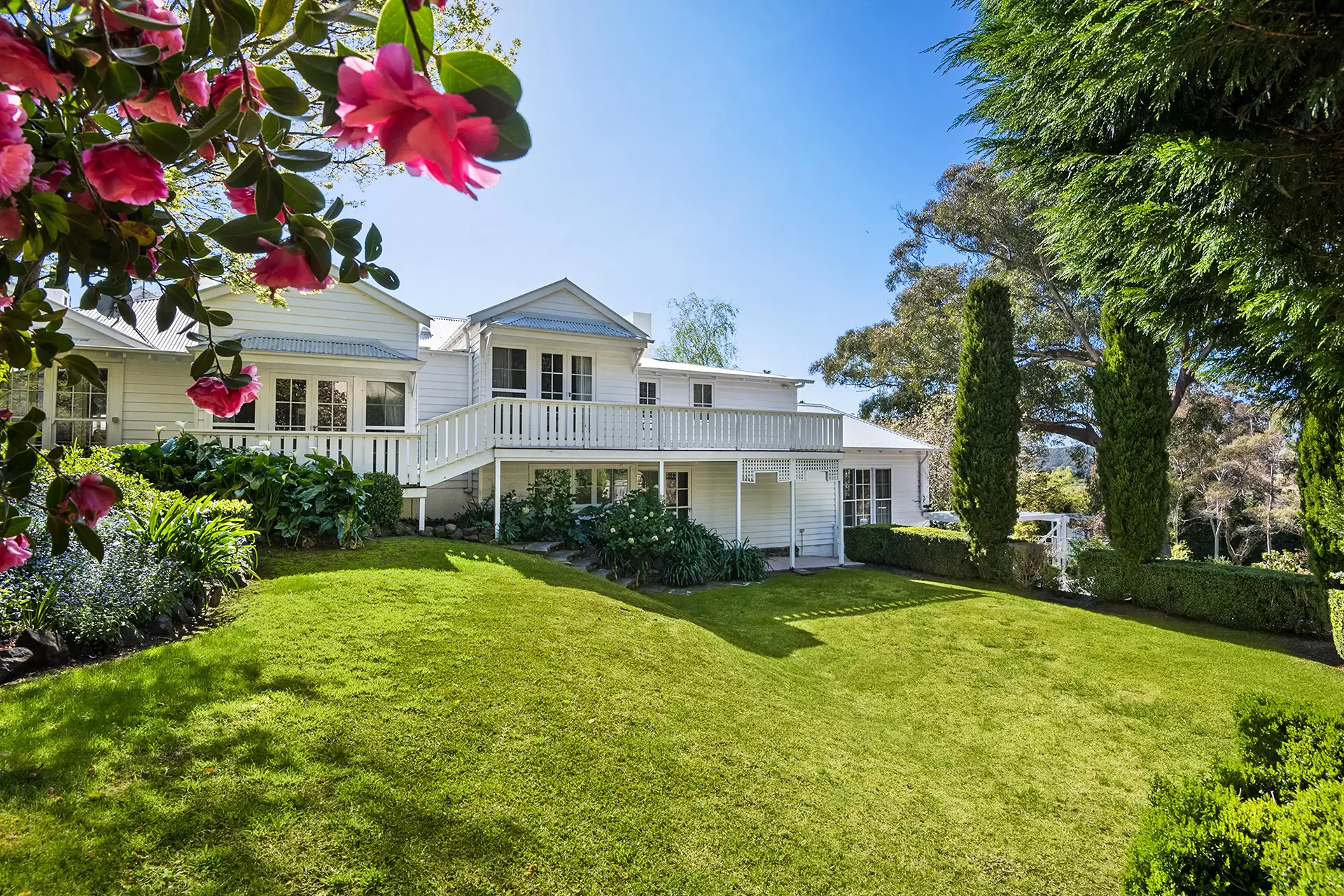 Mittagong Sold by Drew Lindsay Sotheby's International Realty - image 15