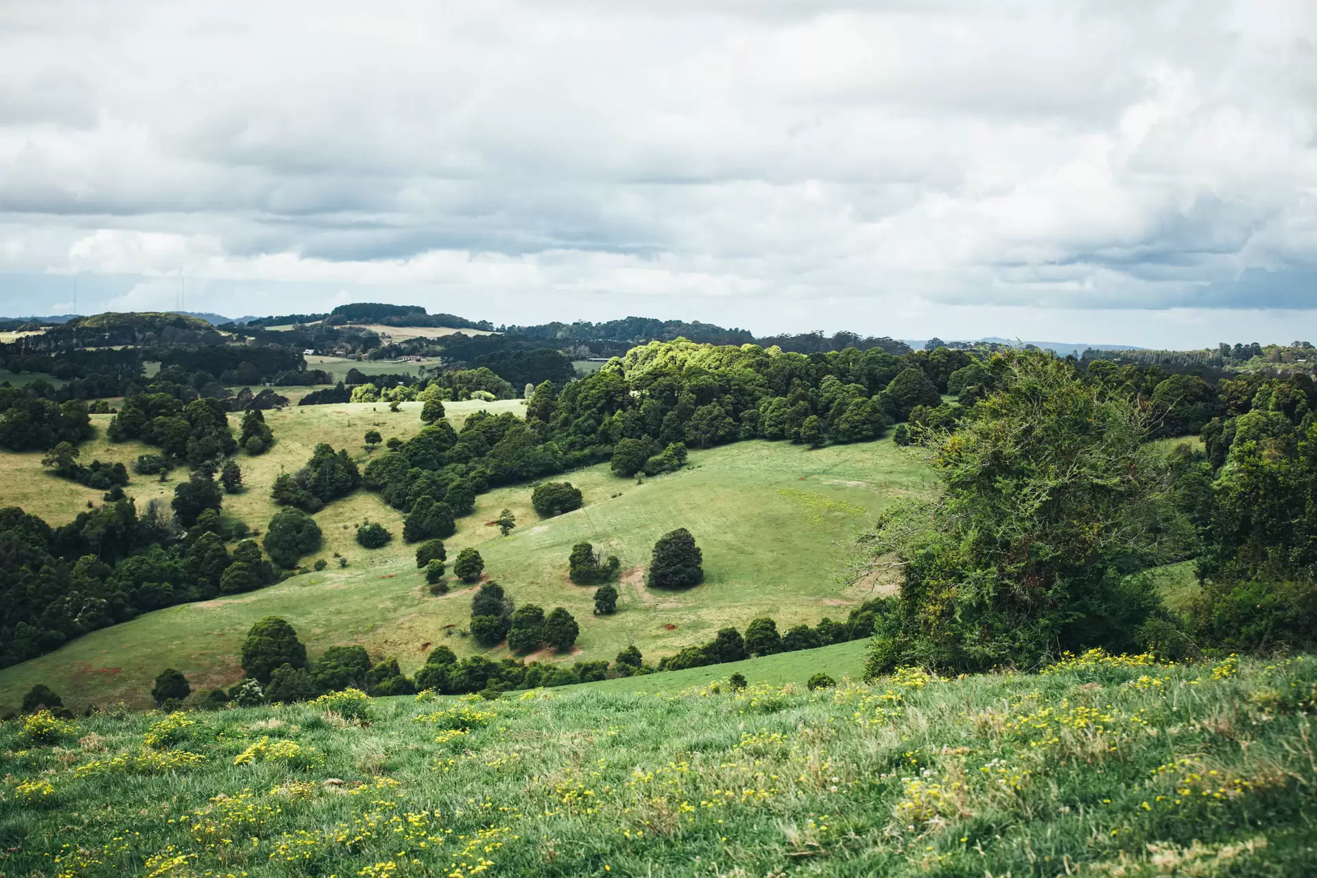 Kangaloon Sold by Drew Lindsay Sotheby's International Realty - image 7