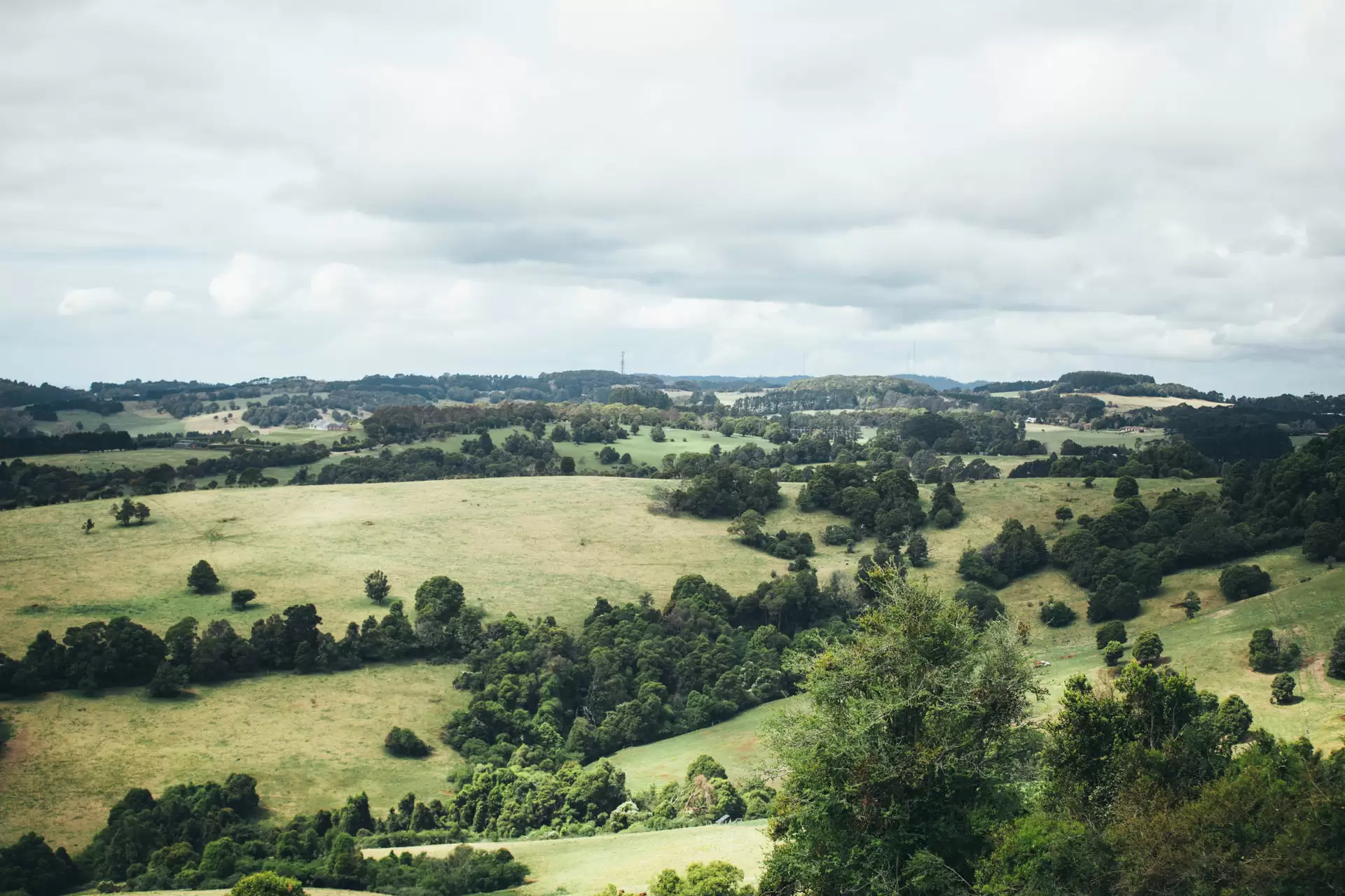 Kangaloon Sold by Drew Lindsay Sotheby's International Realty - image 2