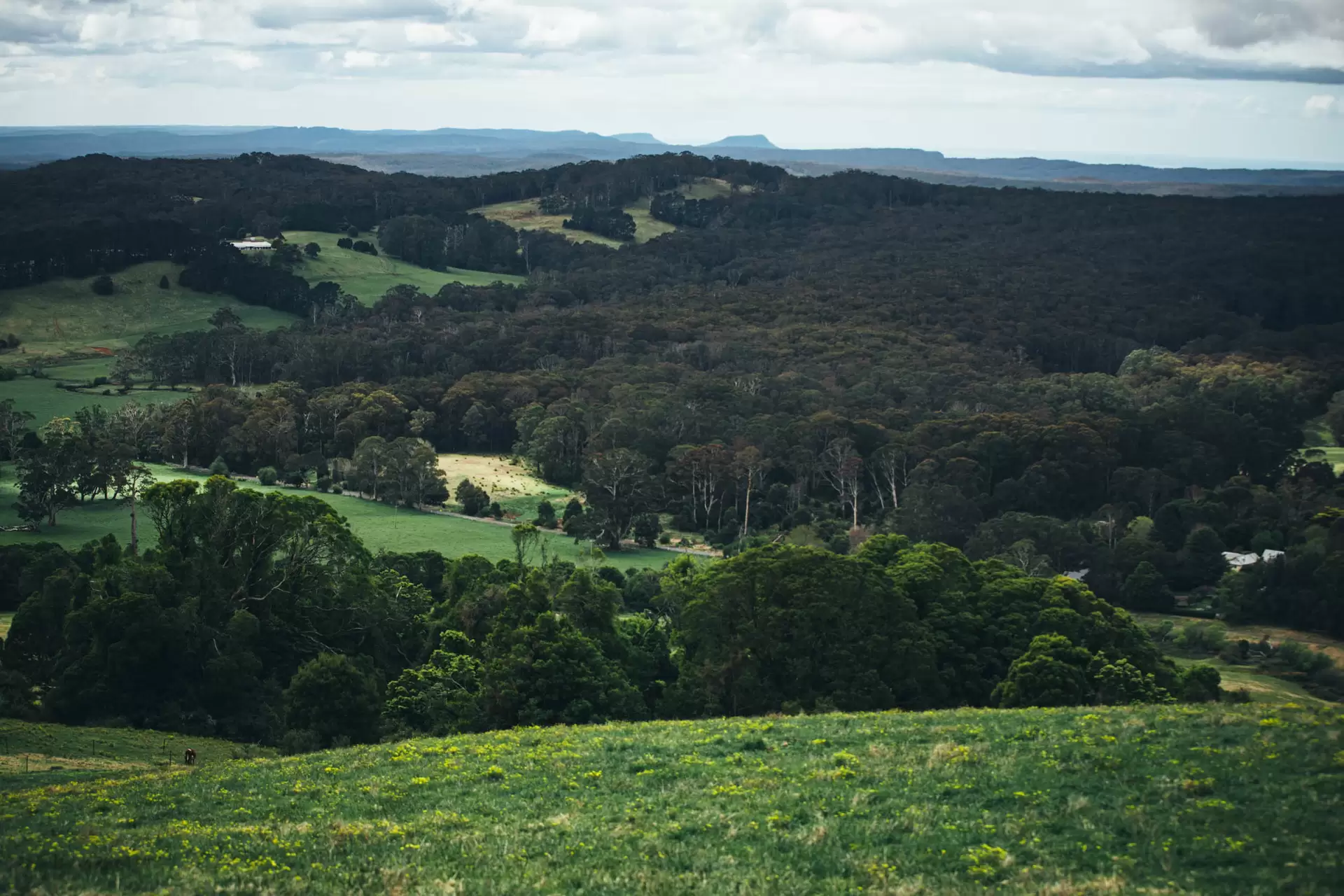 Kangaloon Sold by Drew Lindsay Sotheby's International Realty - image 8