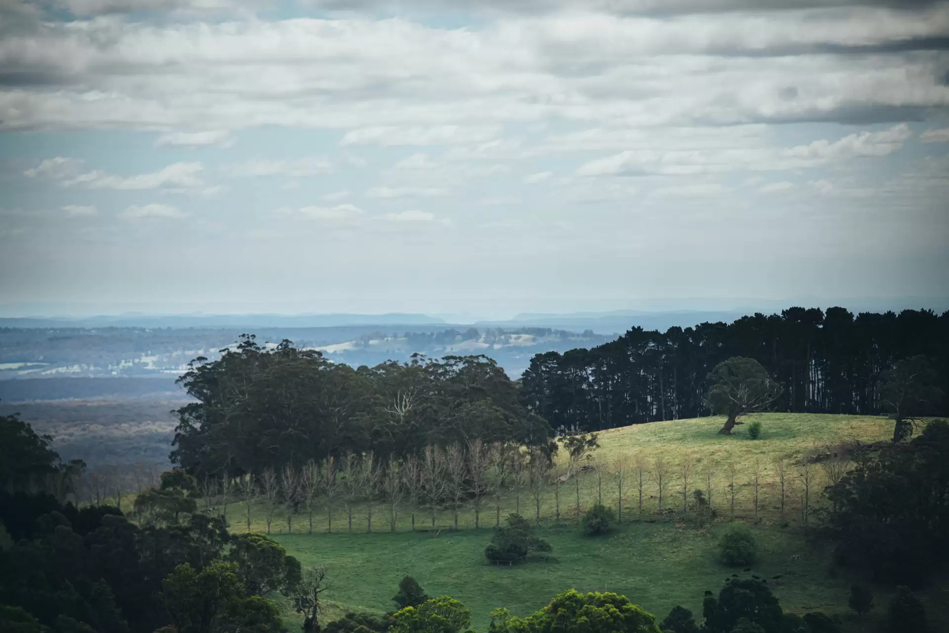 Kangaloon Sold by Drew Lindsay Sotheby's International Realty - image 3