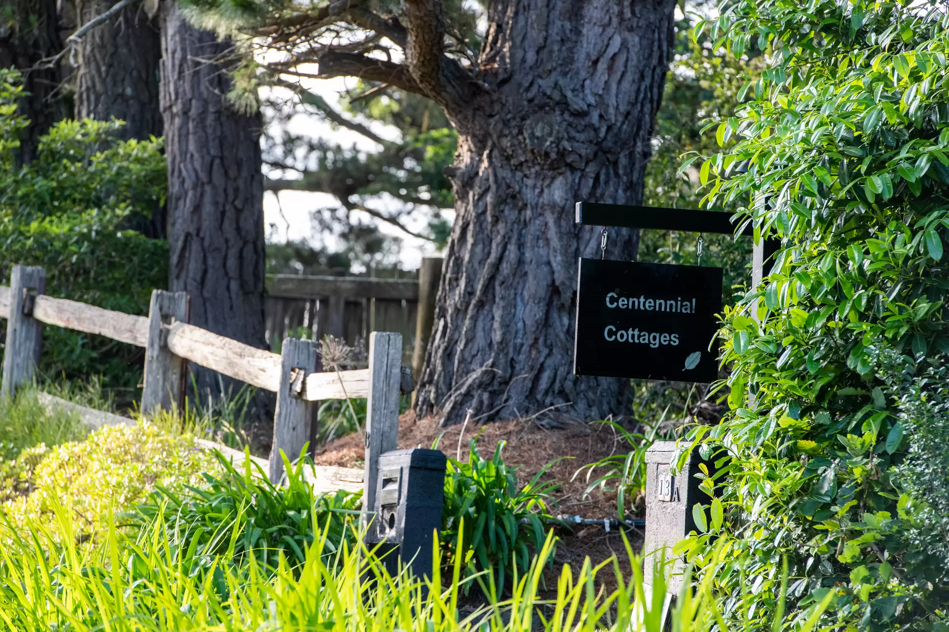 13 Centennial Road, Bowral Sold by Drew Lindsay Sotheby's International Realty - image 17