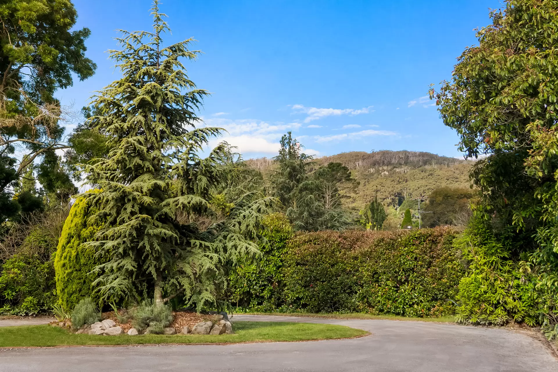 13 Centennial Road, Bowral Sold by Drew Lindsay Sotheby's International Realty - image 13