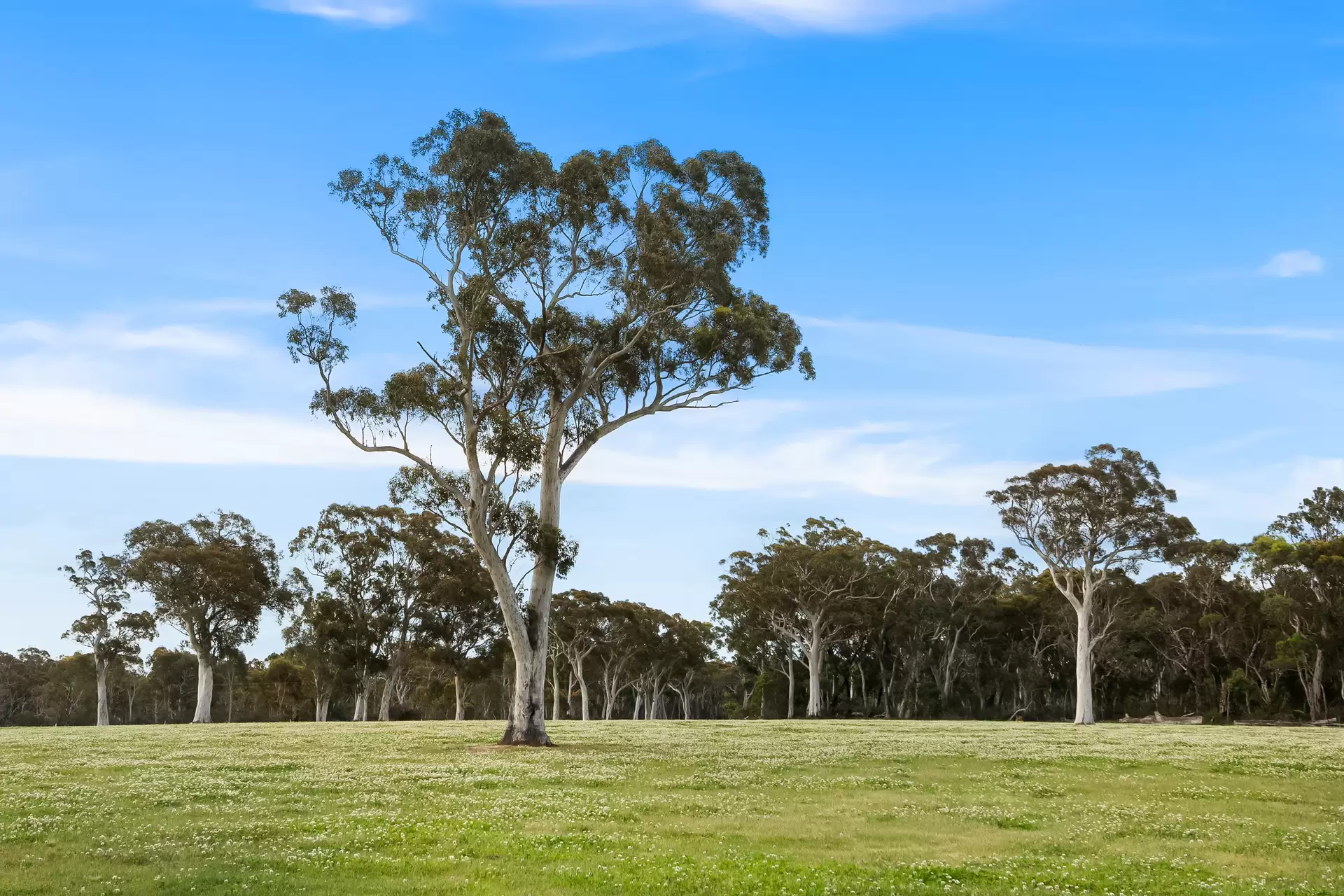 175 Birchalls Lane, Berrima Sold by Drew Lindsay Sotheby's International Realty - image 13