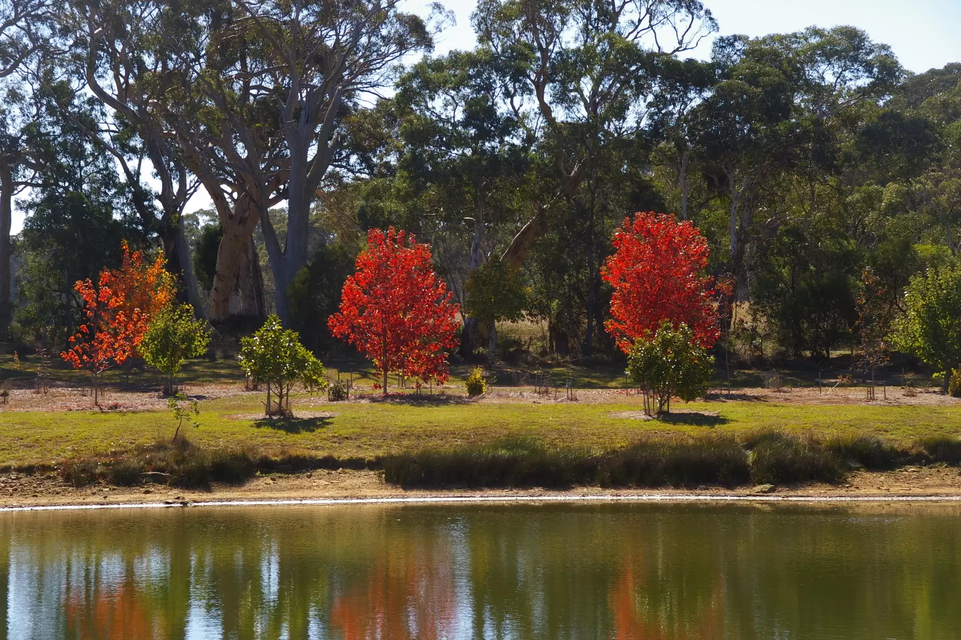 1625 Wombeyan Caves Road, High Range Sold by Drew Lindsay Sotheby's International Realty - image 5