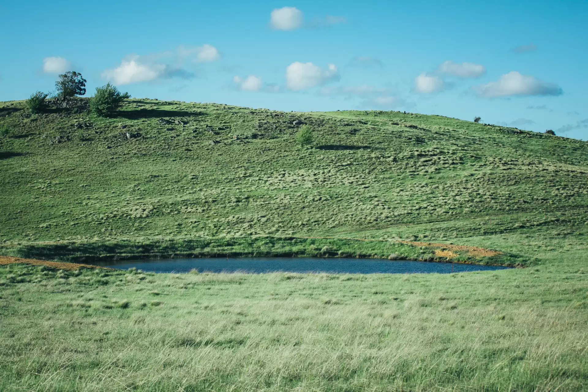 Lot 3,  The Lookdown Road, Bungonia Sold by Drew Lindsay Sotheby's International Realty - image 5