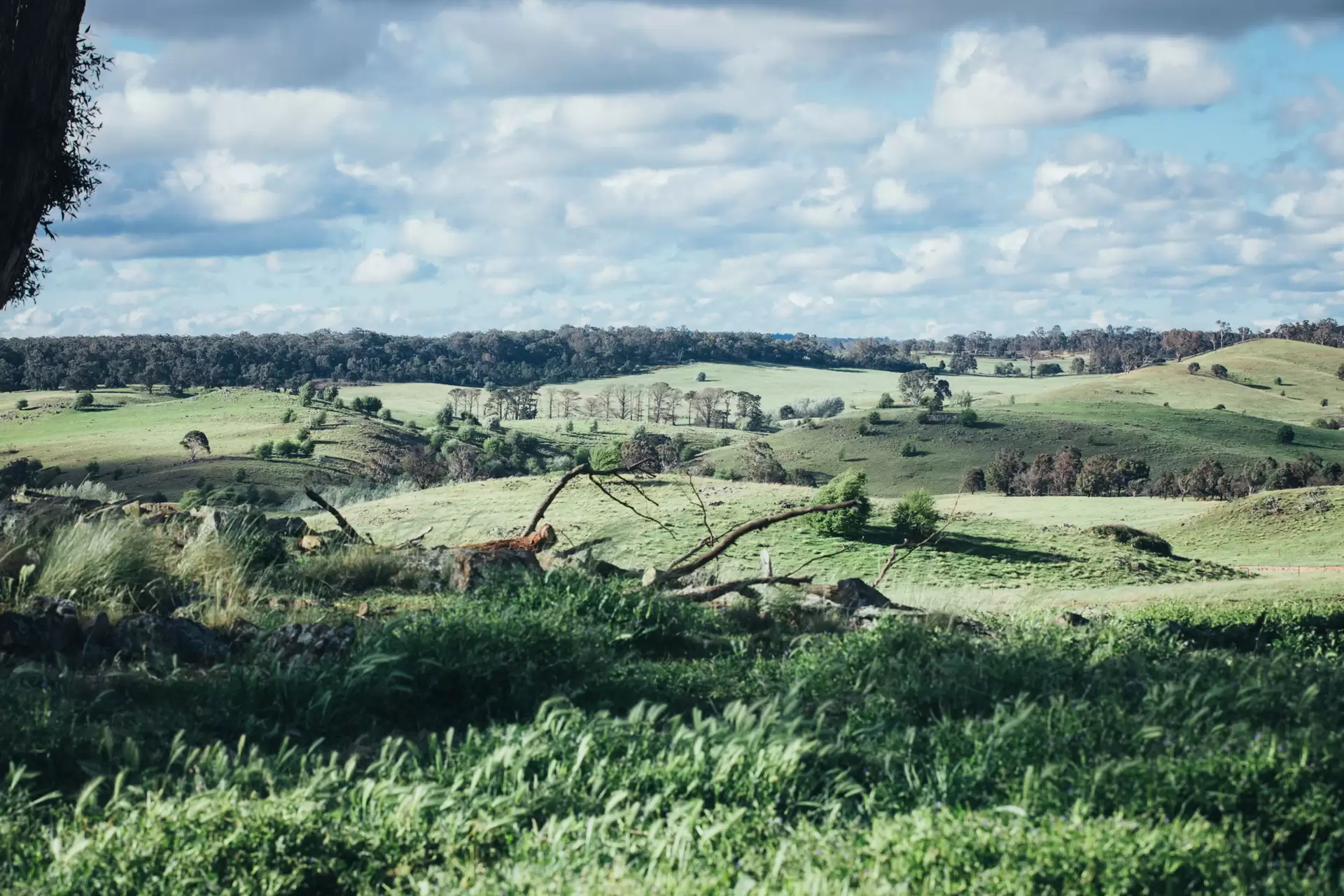 Lot 3,  The Lookdown Road, Bungonia Sold by Drew Lindsay Sotheby's International Realty - image 3