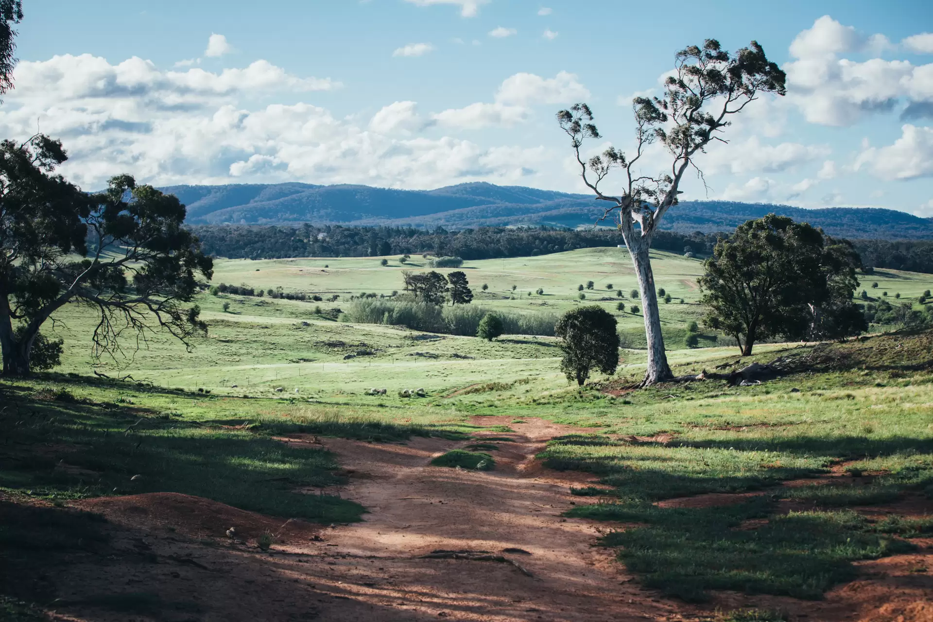 363 The Lookdown Road, Bungonia Sold by Drew Lindsay Sotheby's International Realty - image 3