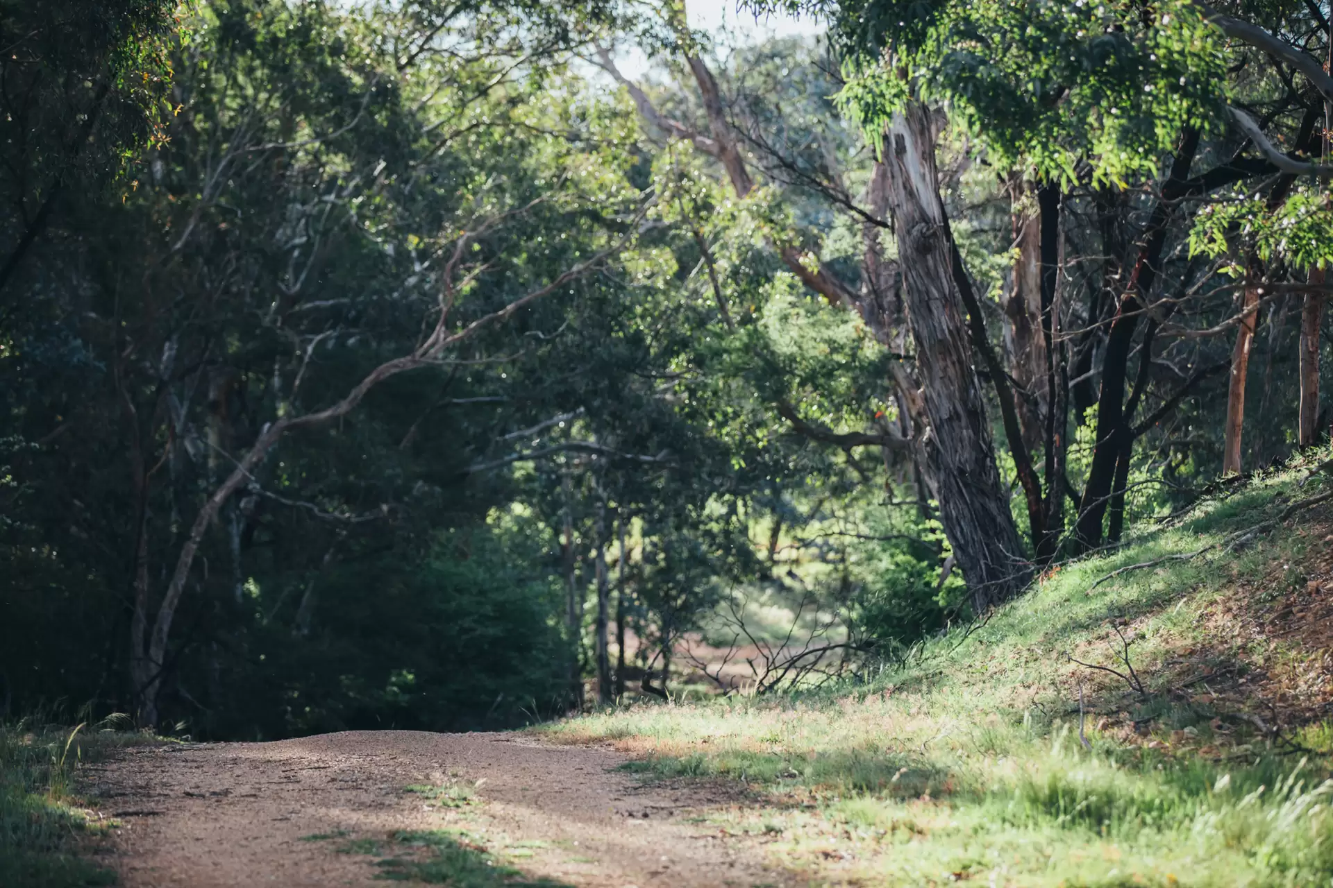 363 The Lookdown Road, Bungonia Sold by Drew Lindsay Sotheby's International Realty - image 6