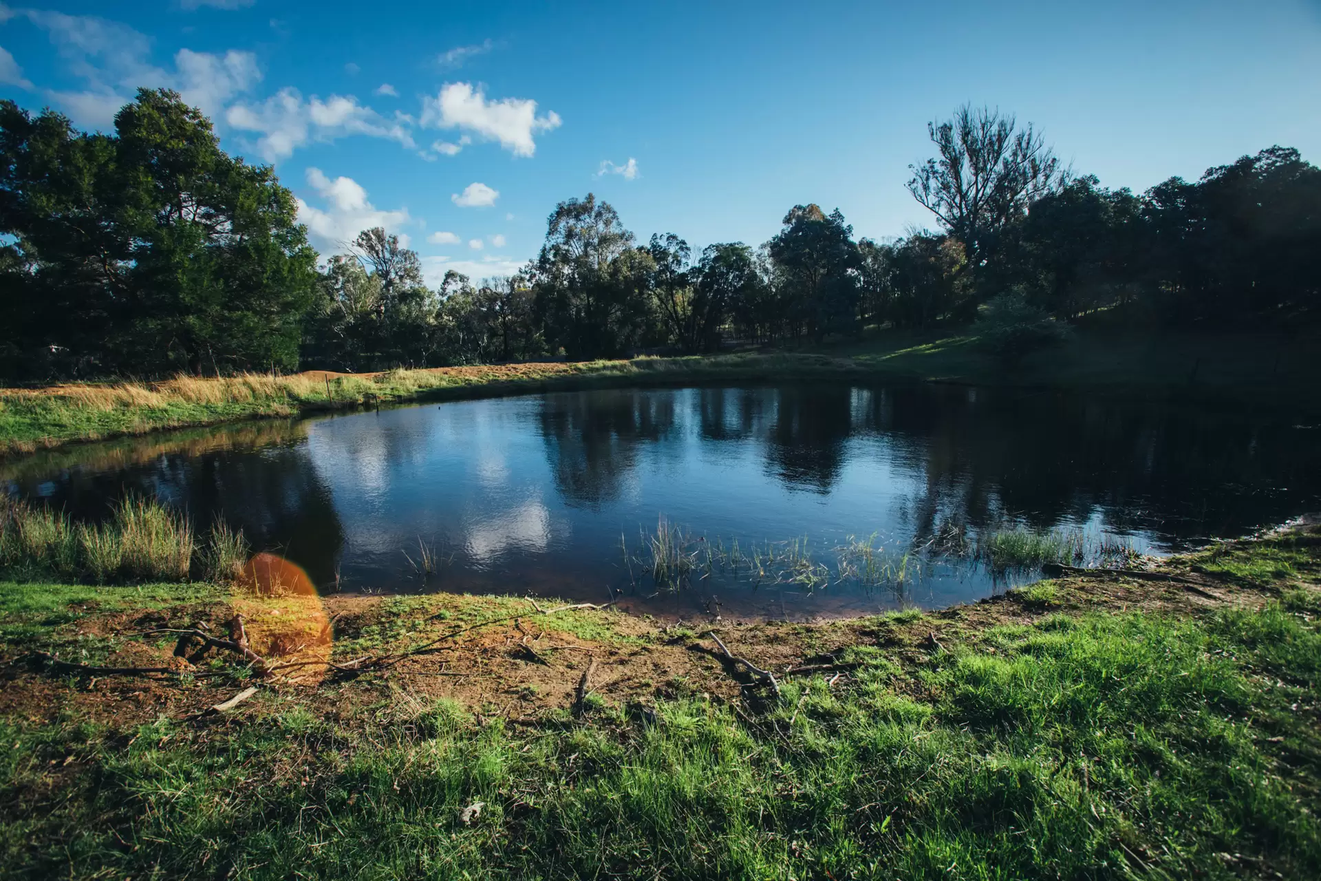 363 The Lookdown Road, Bungonia Sold by Drew Lindsay Sotheby's International Realty - image 4
