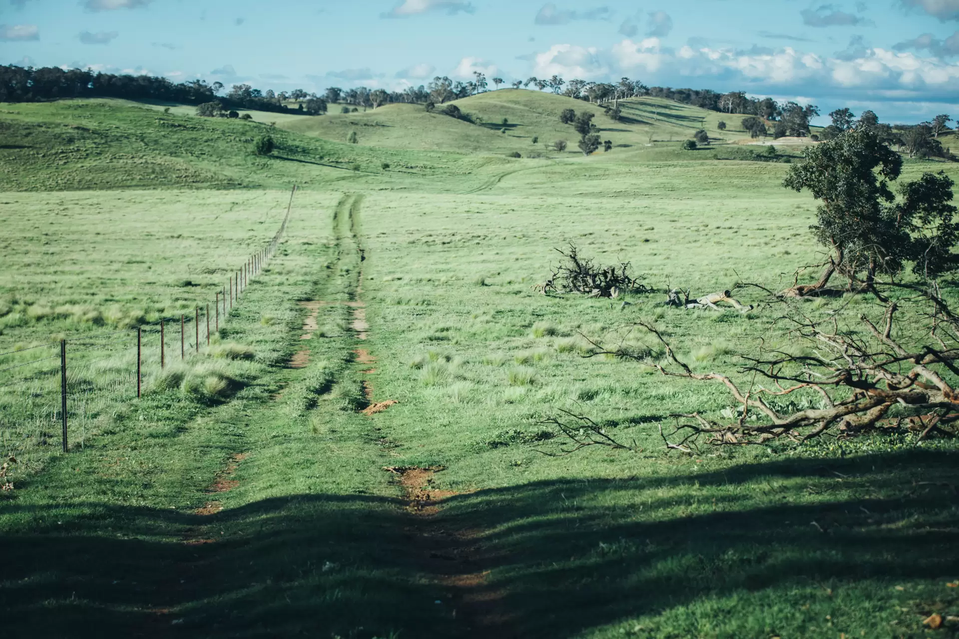 363 The Lookdown Road, Bungonia Sold by Drew Lindsay Sotheby's International Realty - image 1
