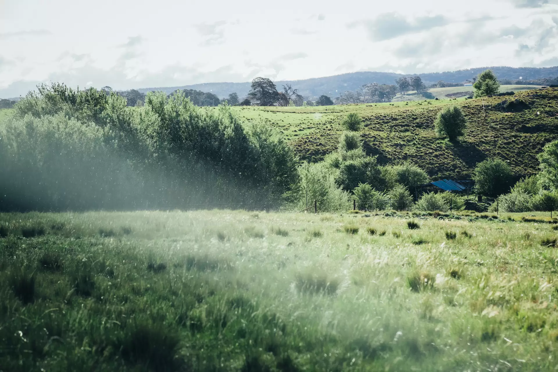 363 The Lookdown Road, Bungonia Sold by Drew Lindsay Sotheby's International Realty - image 5
