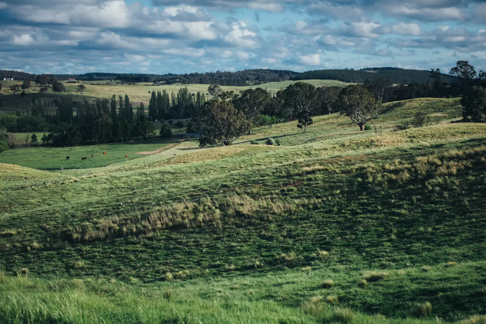 Lot 5,  The Lookdown Road, Bungonia Sold by Drew Lindsay Sotheby's International Realty - image 6