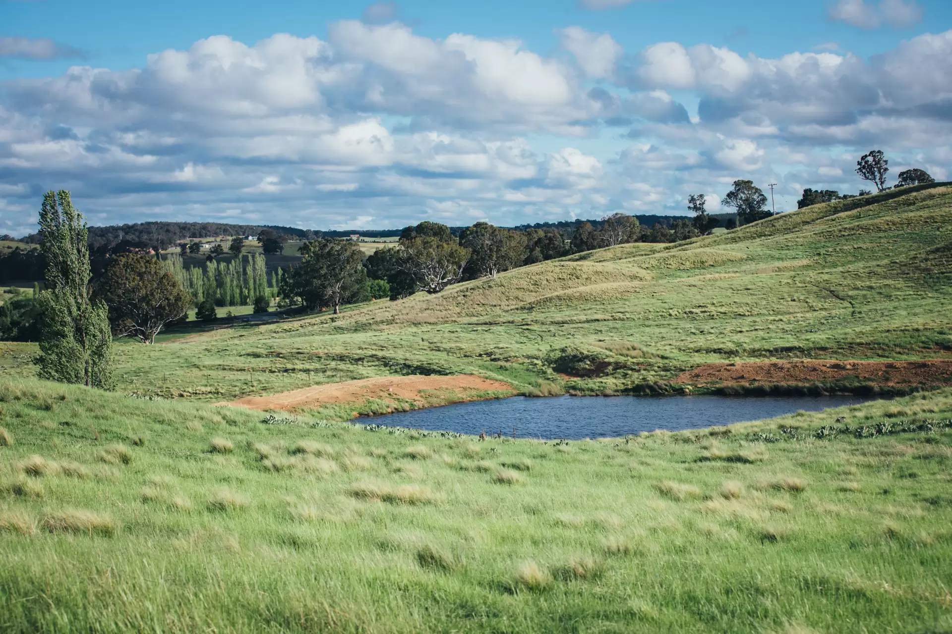 Lot 5,  The Lookdown Road, Bungonia Sold by Drew Lindsay Sotheby's International Realty - image 5