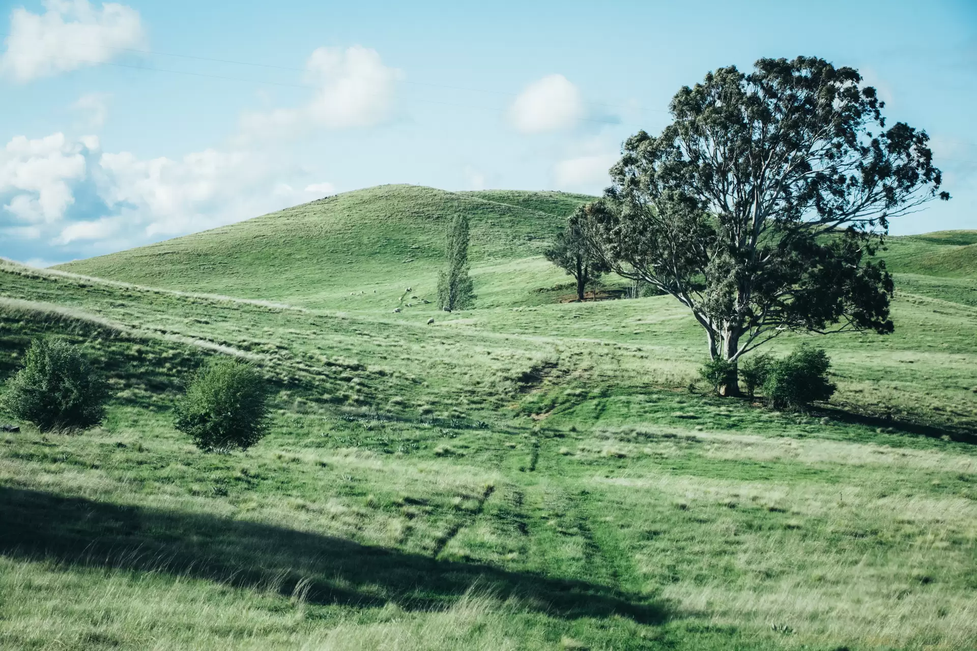 Lot 5,  The Lookdown Road, Bungonia Sold by Drew Lindsay Sotheby's International Realty - image 3