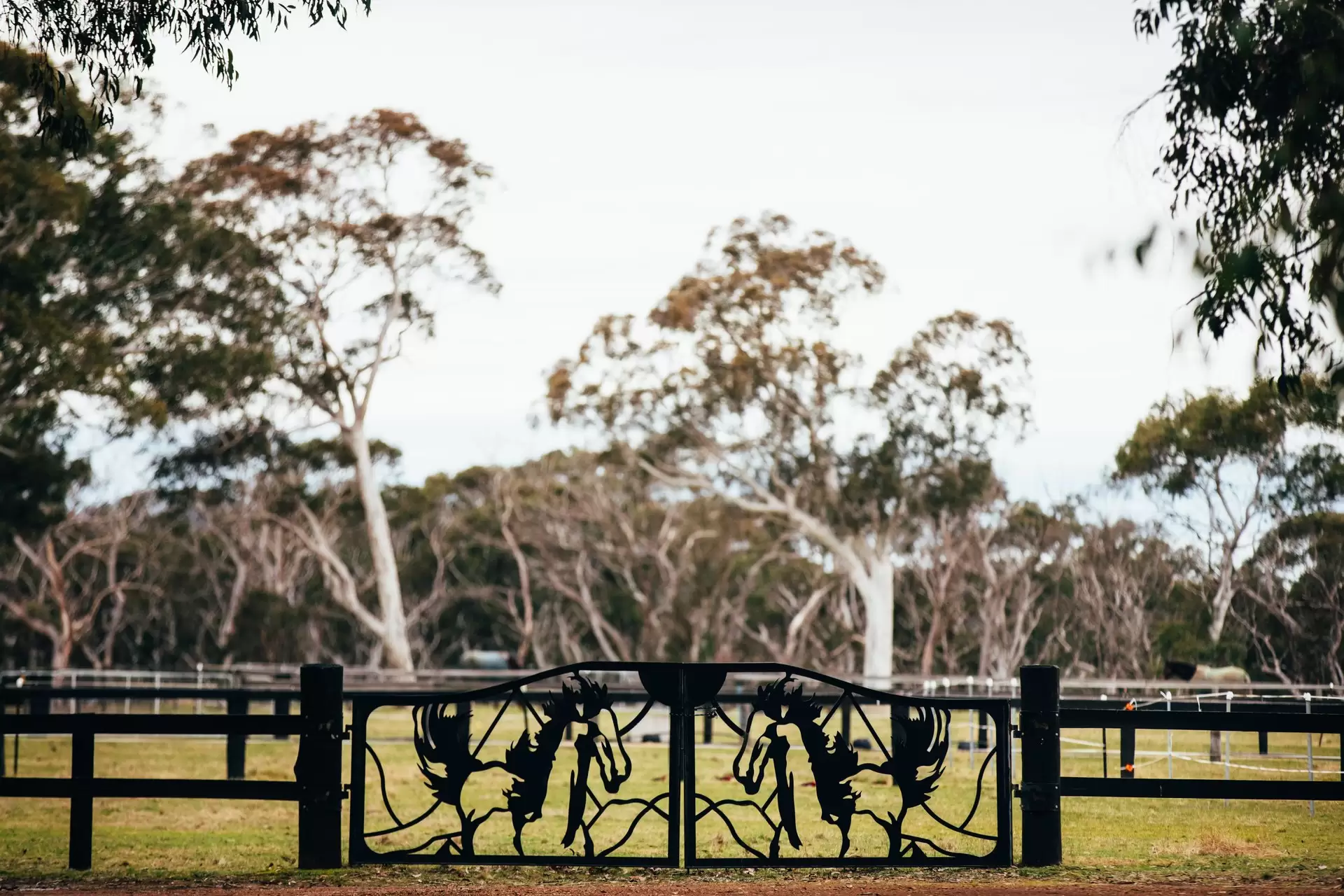 Berrima Sold by Drew Lindsay Sotheby's International Realty - image 13