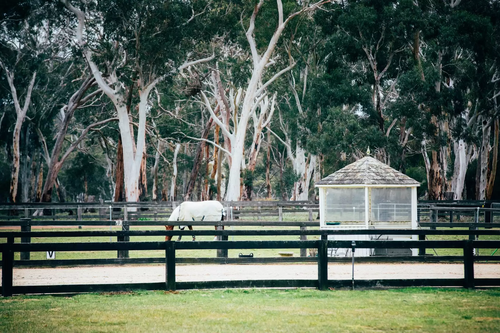 Berrima Sold by Drew Lindsay Sotheby's International Realty - image 14
