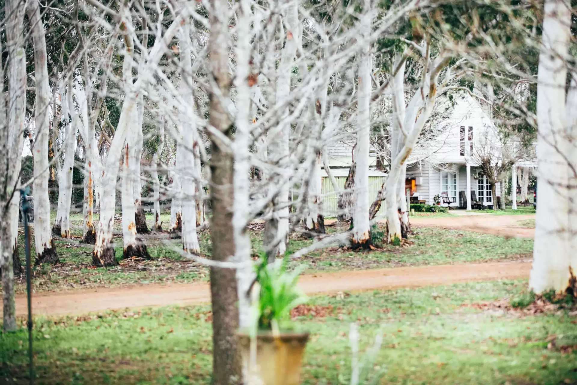 Berrima Sold by Drew Lindsay Sotheby's International Realty - image 15