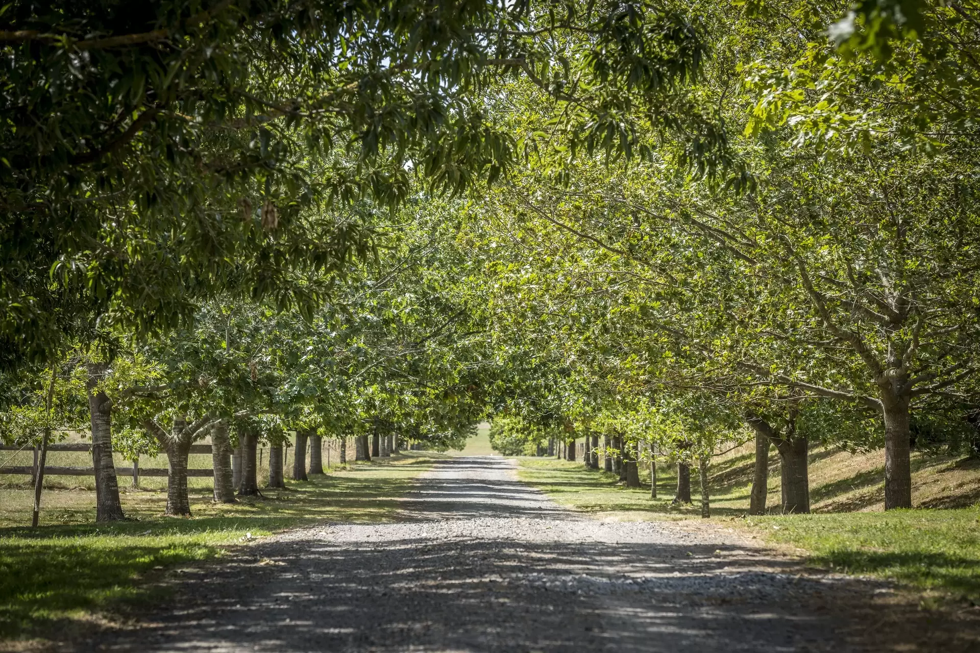 157 Old South Road, Breadalbane Sold by Drew Lindsay Sotheby's International Realty - image 12