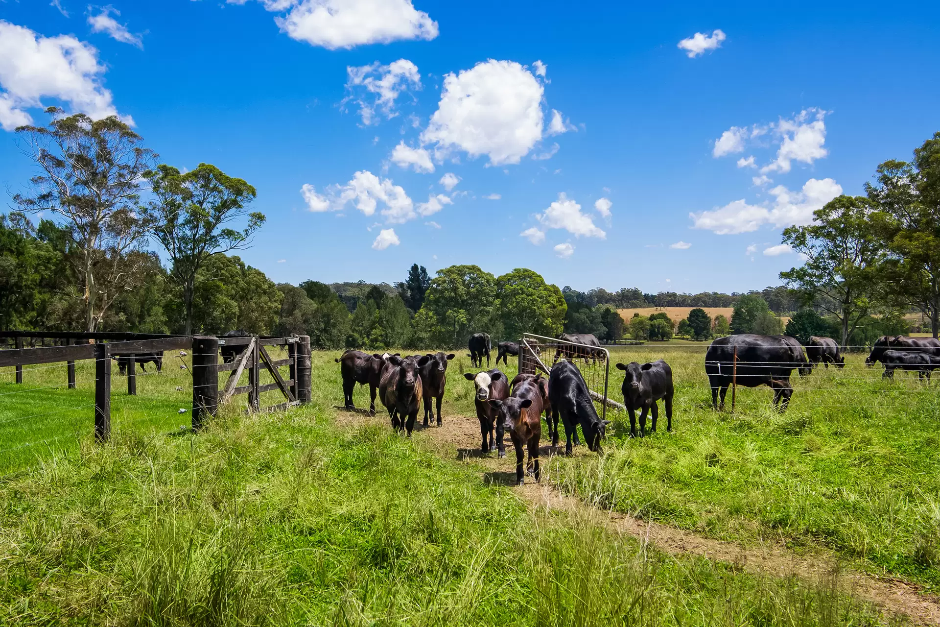 475 Old South Road, Mittagong Sold by Drew Lindsay Sotheby's International Realty - image 25