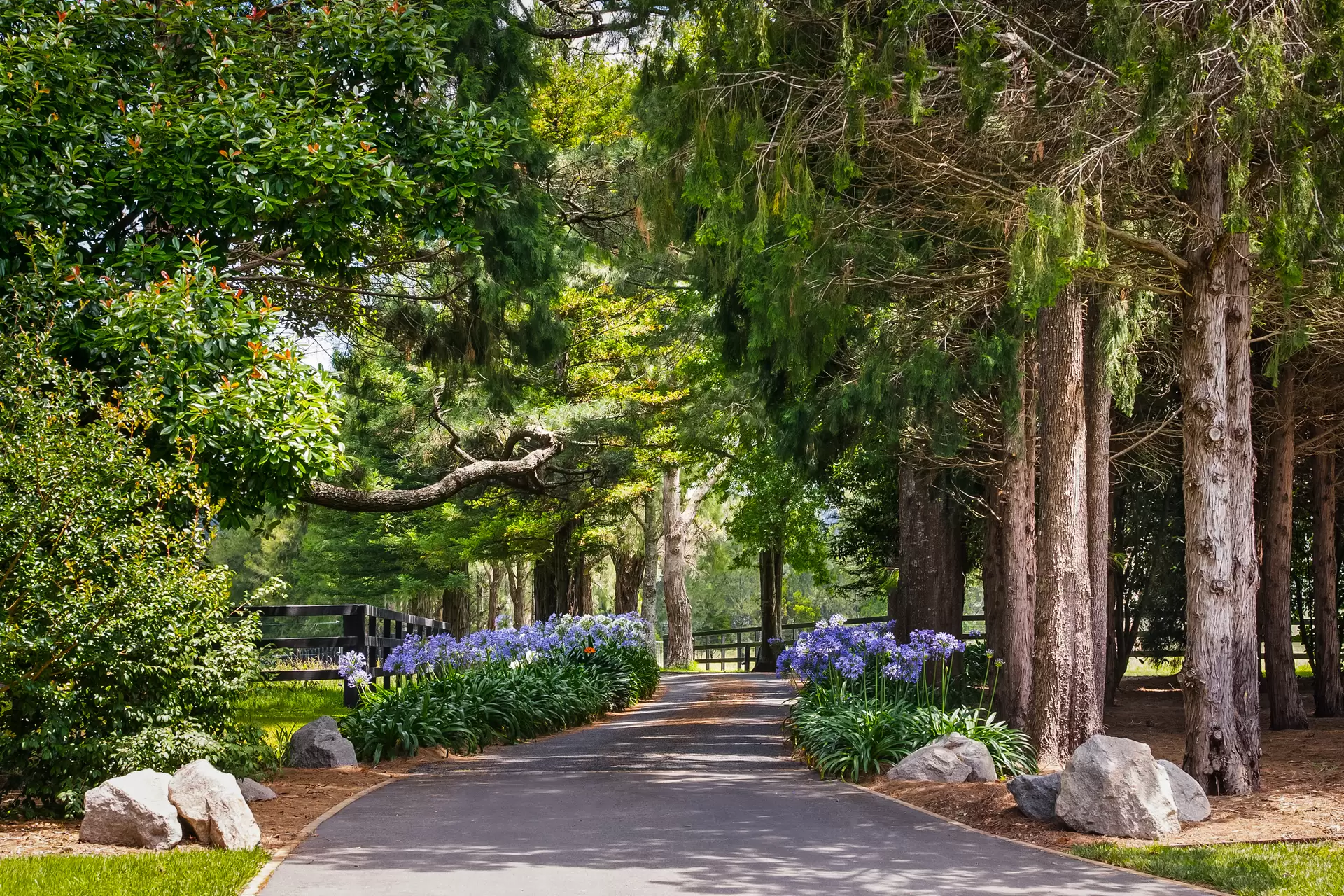 475 Old South Road, Mittagong Sold by Drew Lindsay Sotheby's International Realty - image 3