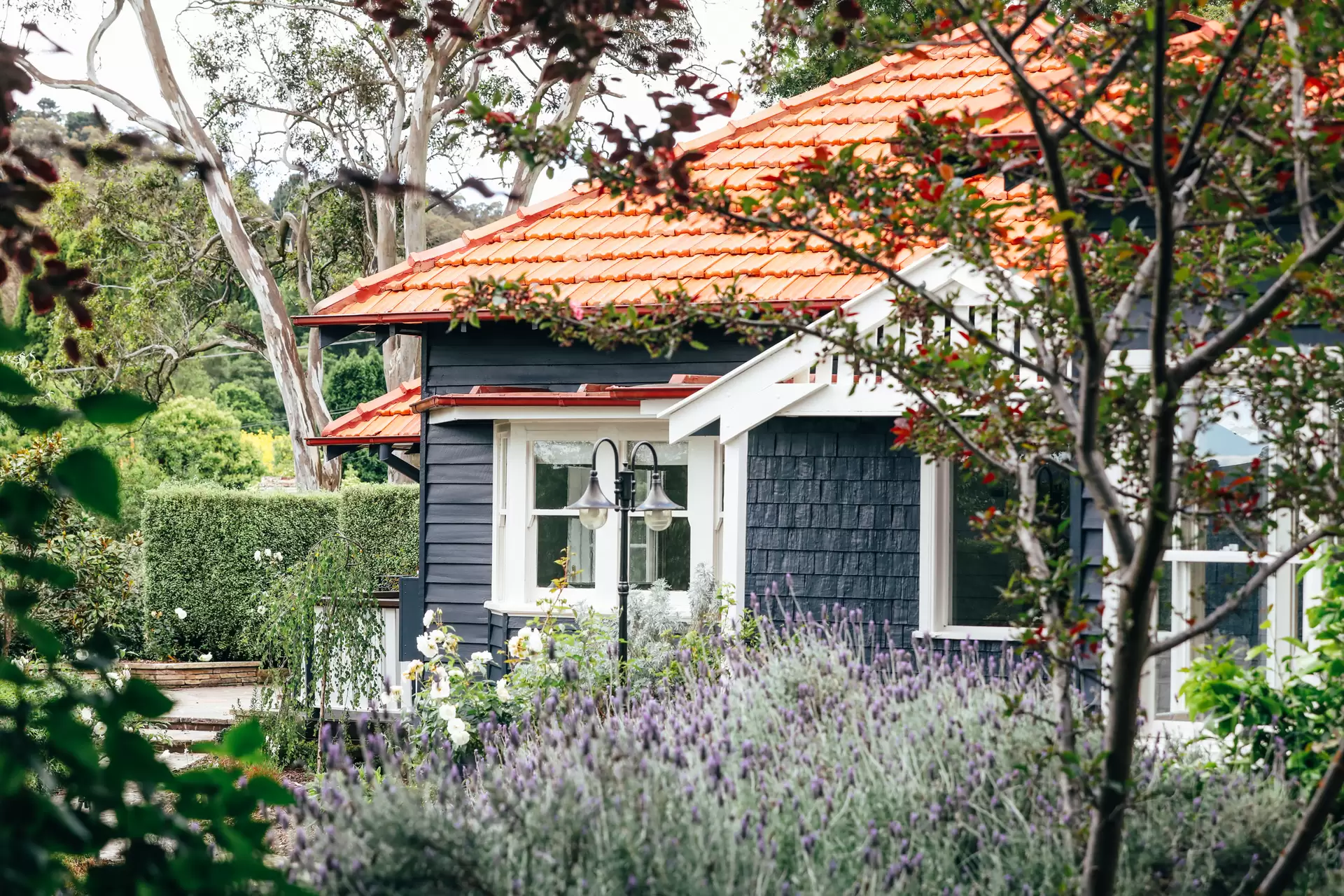119-127 Merrigang Street, Bowral Sold by Drew Lindsay Sotheby's International Realty - image 6