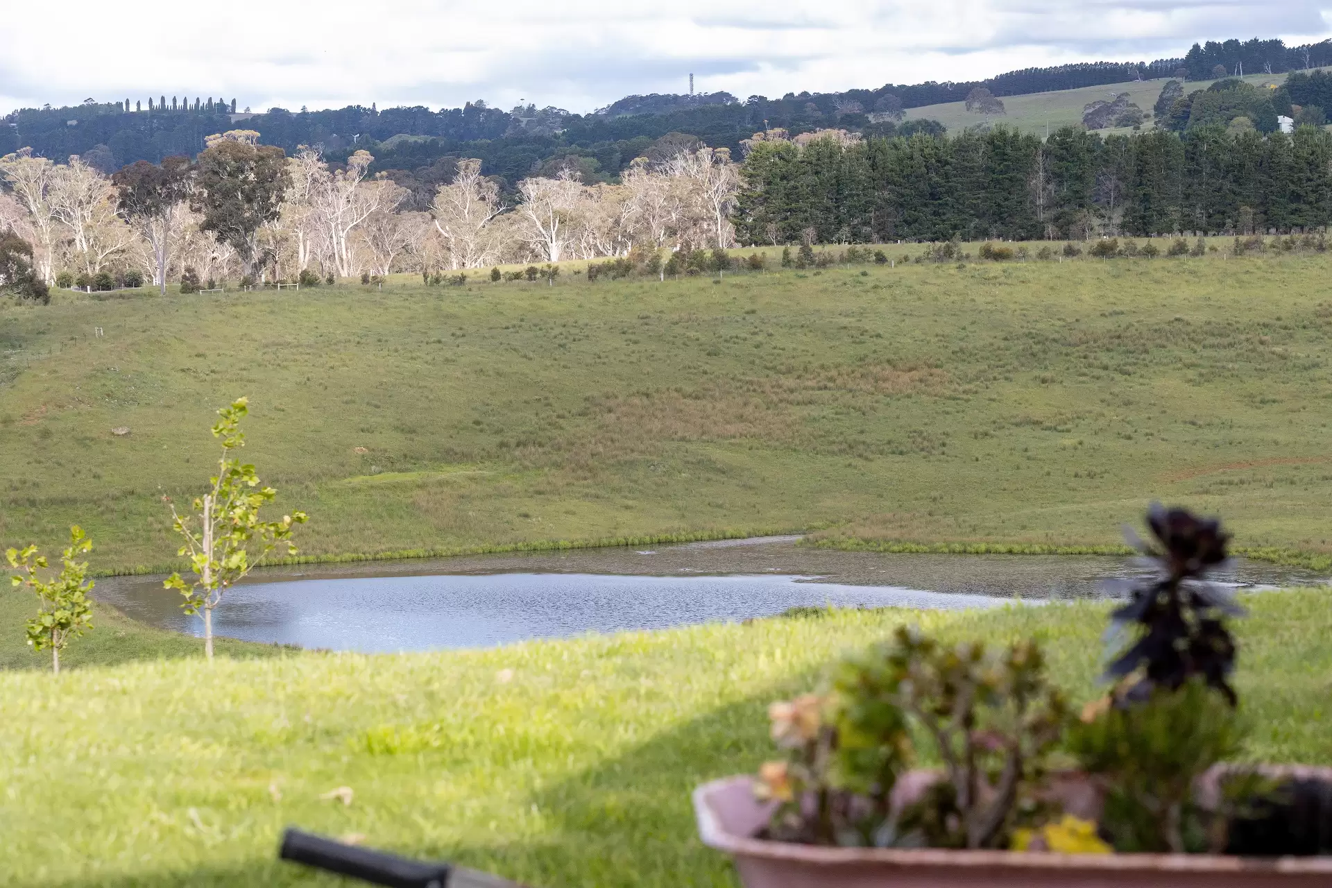 550 Oxleys Hill Road, Berrima Sold by Drew Lindsay Sotheby's International Realty - image 18