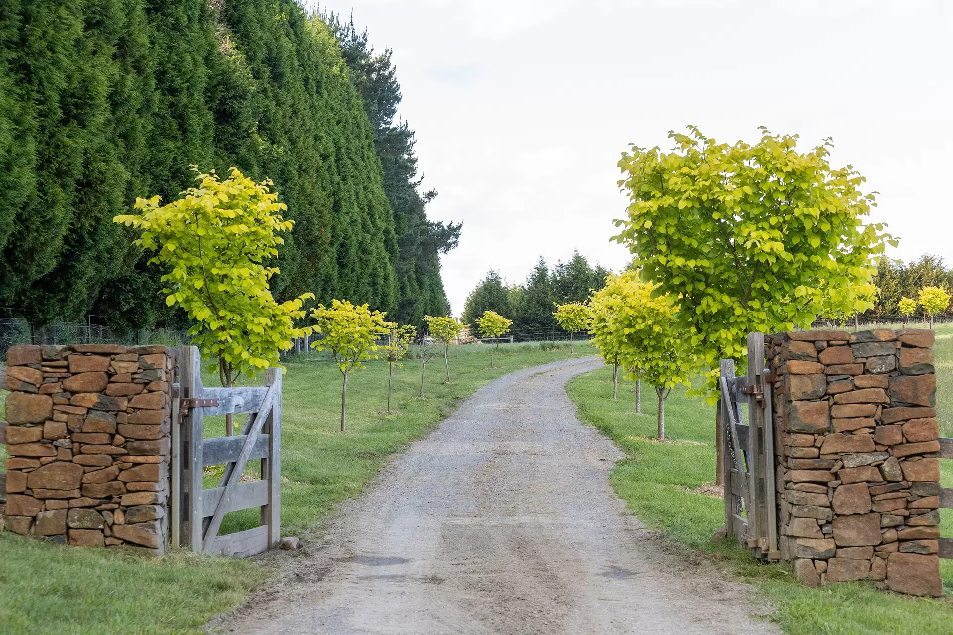 550 Oxleys Hill Road, Berrima Sold by Drew Lindsay Sotheby's International Realty - image 19